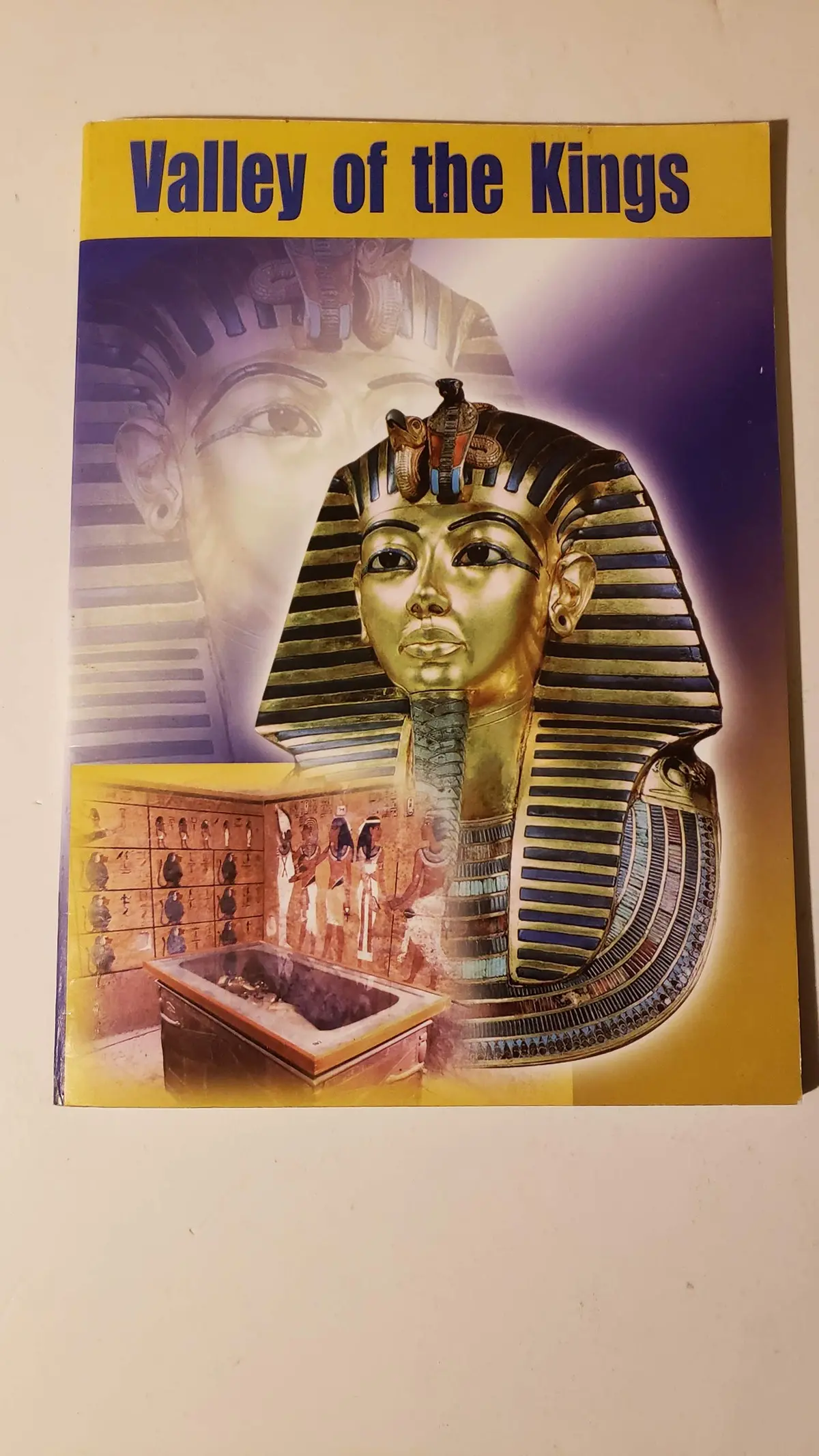 Valley Of The Kings [Paperback] Nasr, Mohamed 1