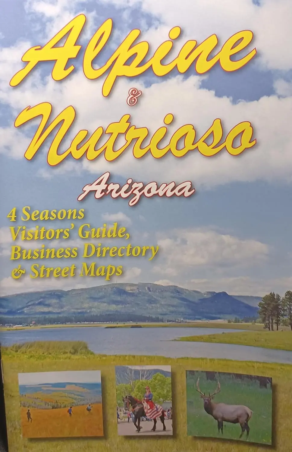 Alpine And Nutrioso Arizona - 4 Seasons Visitor's Guide With Maps [Staple Bound] Norman Mead 1