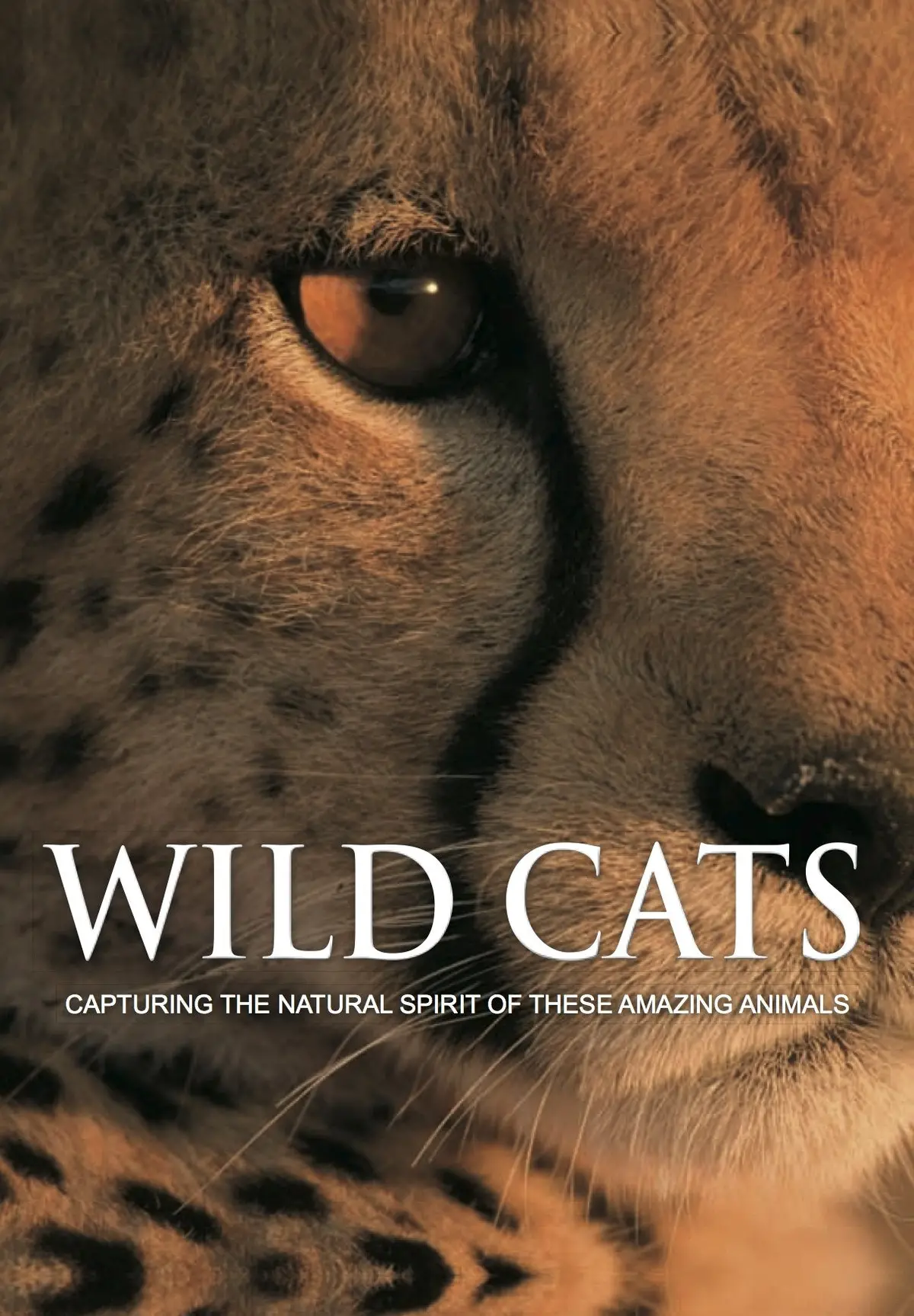 Wild Cats: Capturing The Natural Spirit Of These Amazing Animals Parragon Books 1