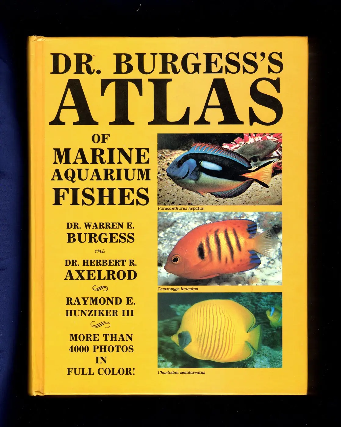 Dr. Burgess's Atlas Of Marine Aquarium Fishes [Hardcover] Warren E.  Burgess; Herbert R. Axelrod And Raymond E. Hunziker Iii 1
