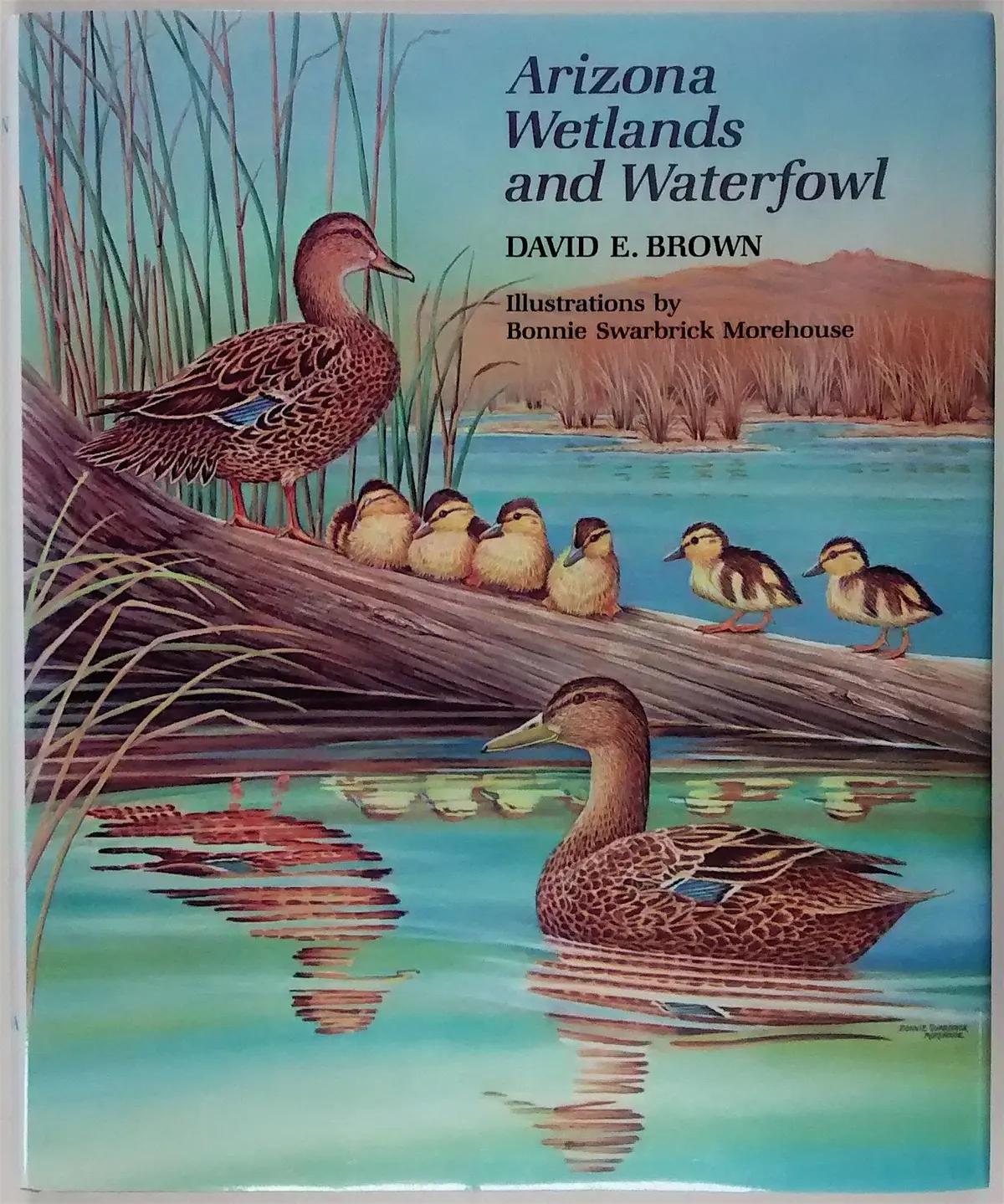 Arizona Wetlands And Waterfowl Brown, David E. 1