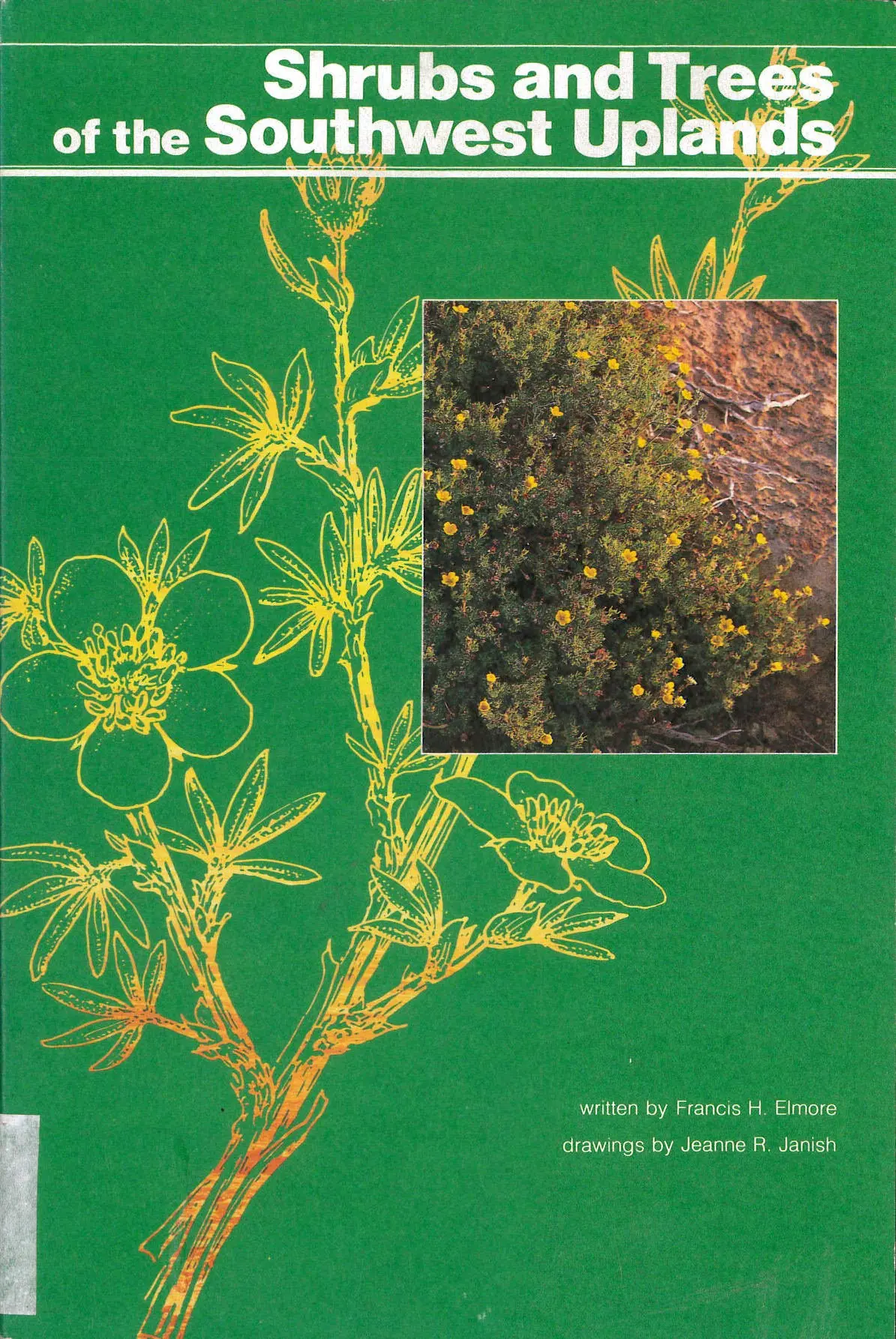 Shrubs And Trees Of The Southwest Uplands [Paperback] Francis H. Elmore And Jeanne R. Janish 1