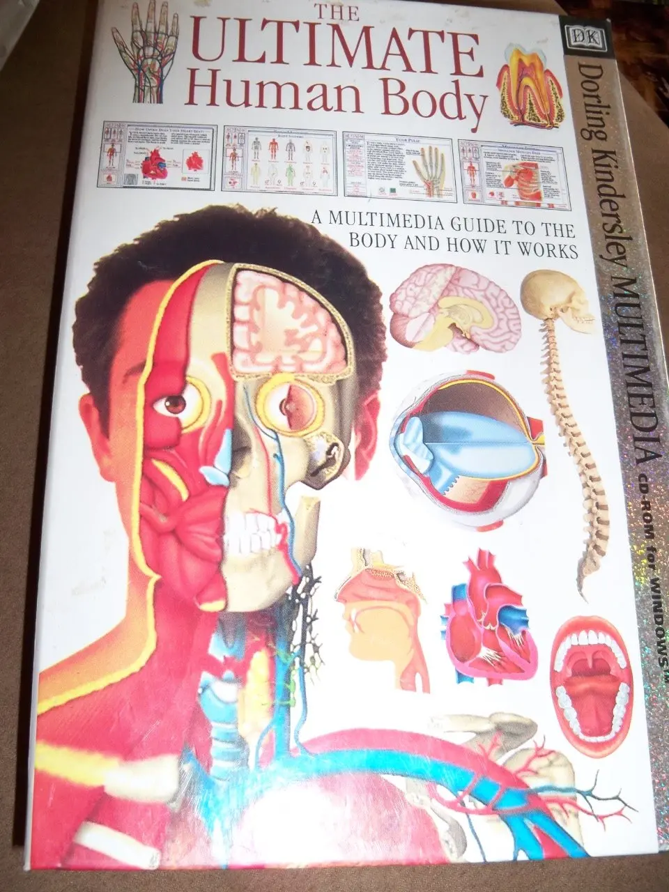 The Ultimate Human Body: A Multimedia Guide To The Body And How It Works/Cs-Rom 1