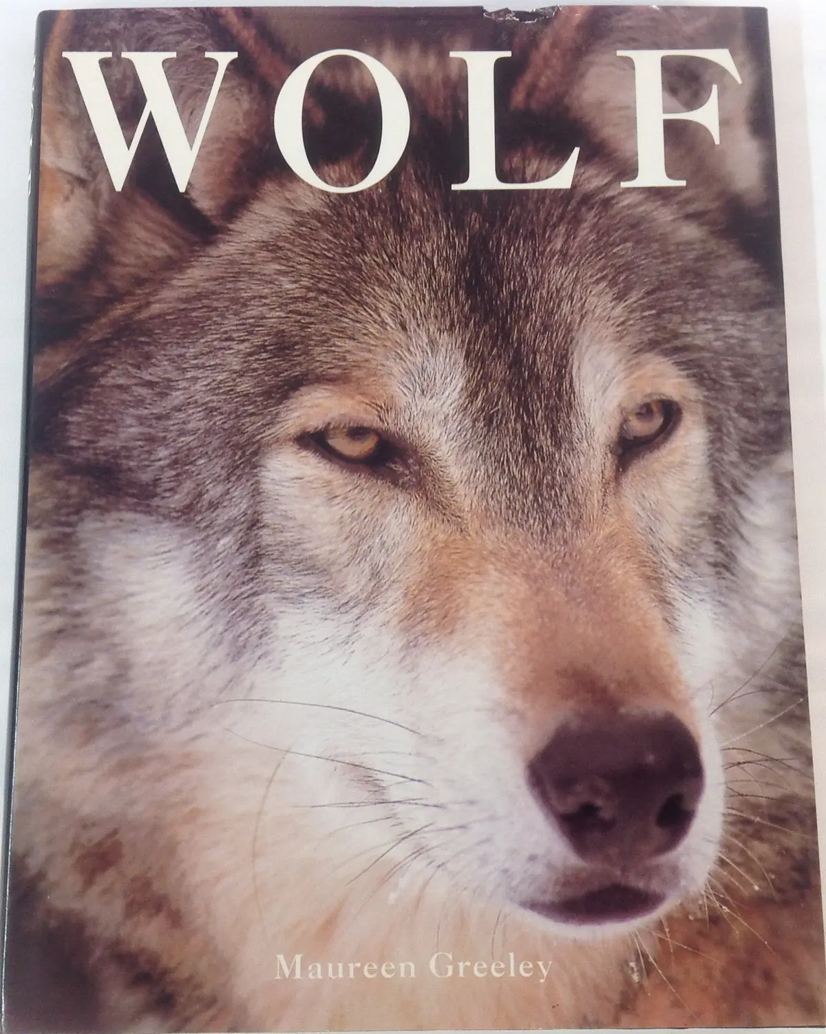Wolf Greeley, Maureen 1