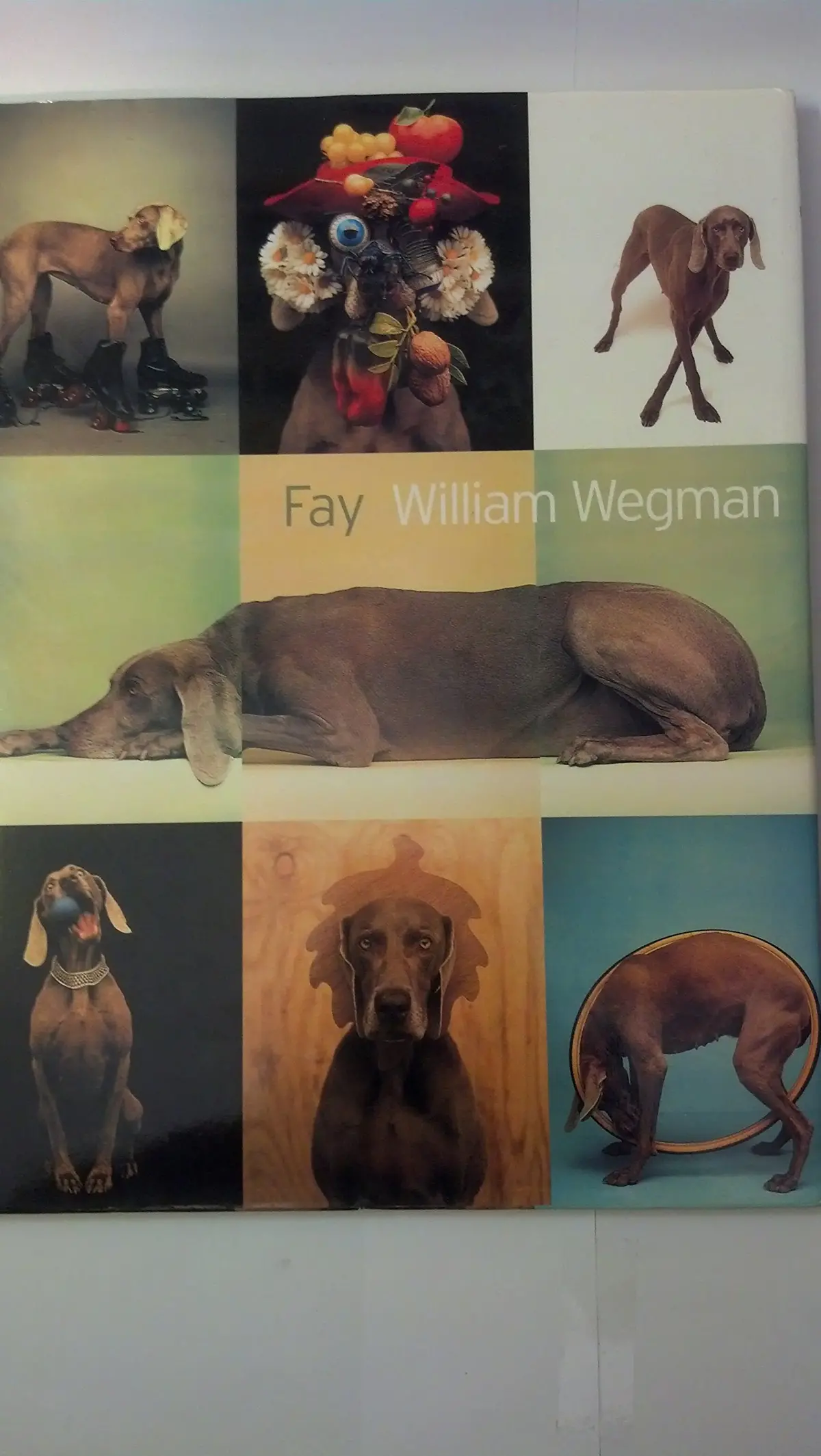 Fay Wegman, William 1
