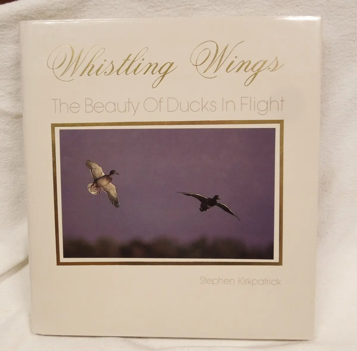 Whistling Wings: The Beauty Of Ducks In Flight Kirkpatrick, Stephen 1