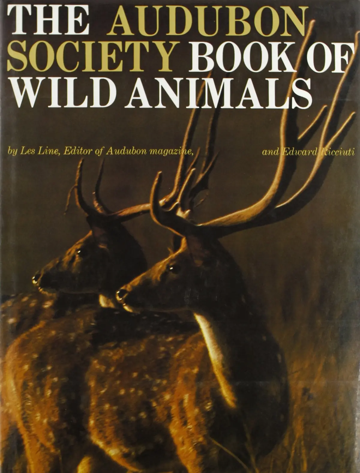 The Audubon Society Book Of Wild Animals [Hardcover] Line, Les & Ricciuti, Edward (Eds). 1