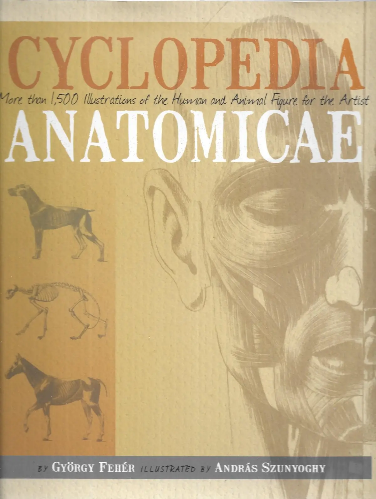 Cyclopedia Anatomicae: More Than 1500 Illustrations Of The Human And Animal Figure For The Artist [Hardcover] Gyorgy Feher 1