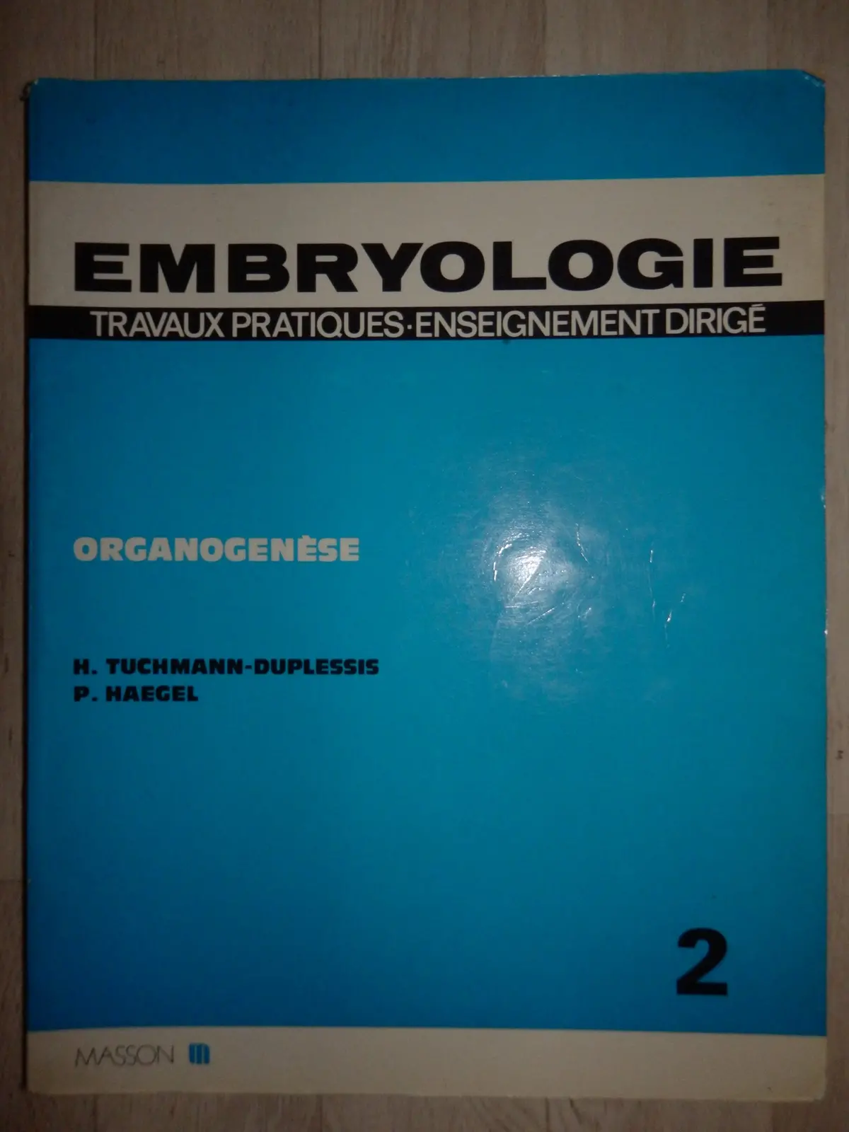 Embryologie F. 2-Organogenese [Paperback] Tuchmann 1