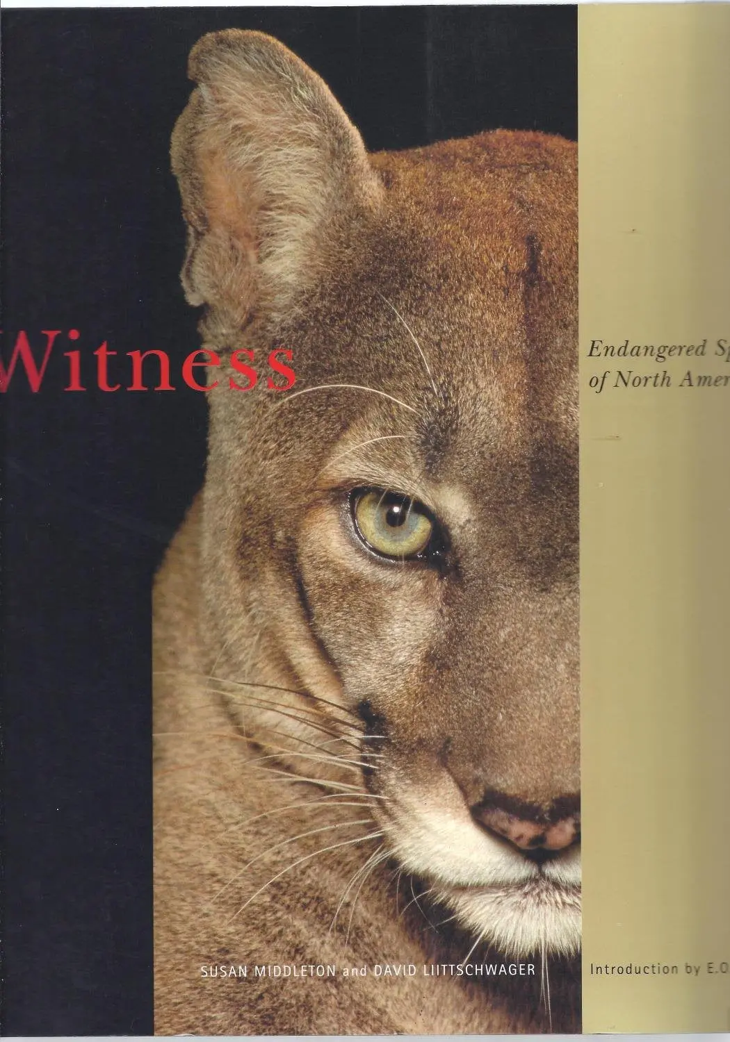Witness: Endangered Species Of North America Liittschwager, David; Middleton, Susan And Wilson, E. O. 1