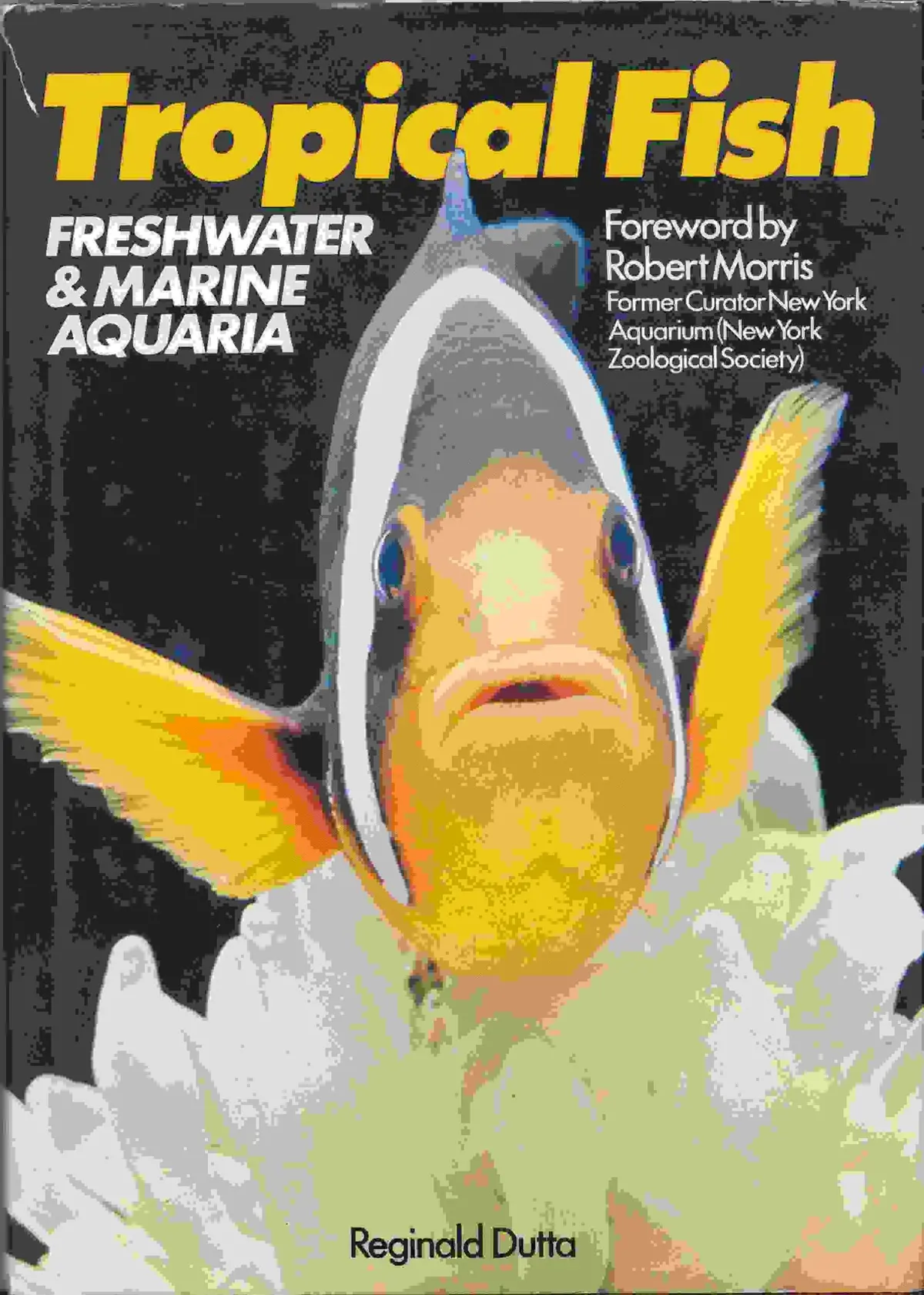 Tropical Fish: Freshwater And Marine Aquaria Reginald Dutta; Moorfield Aquatics And Robert Morris 1