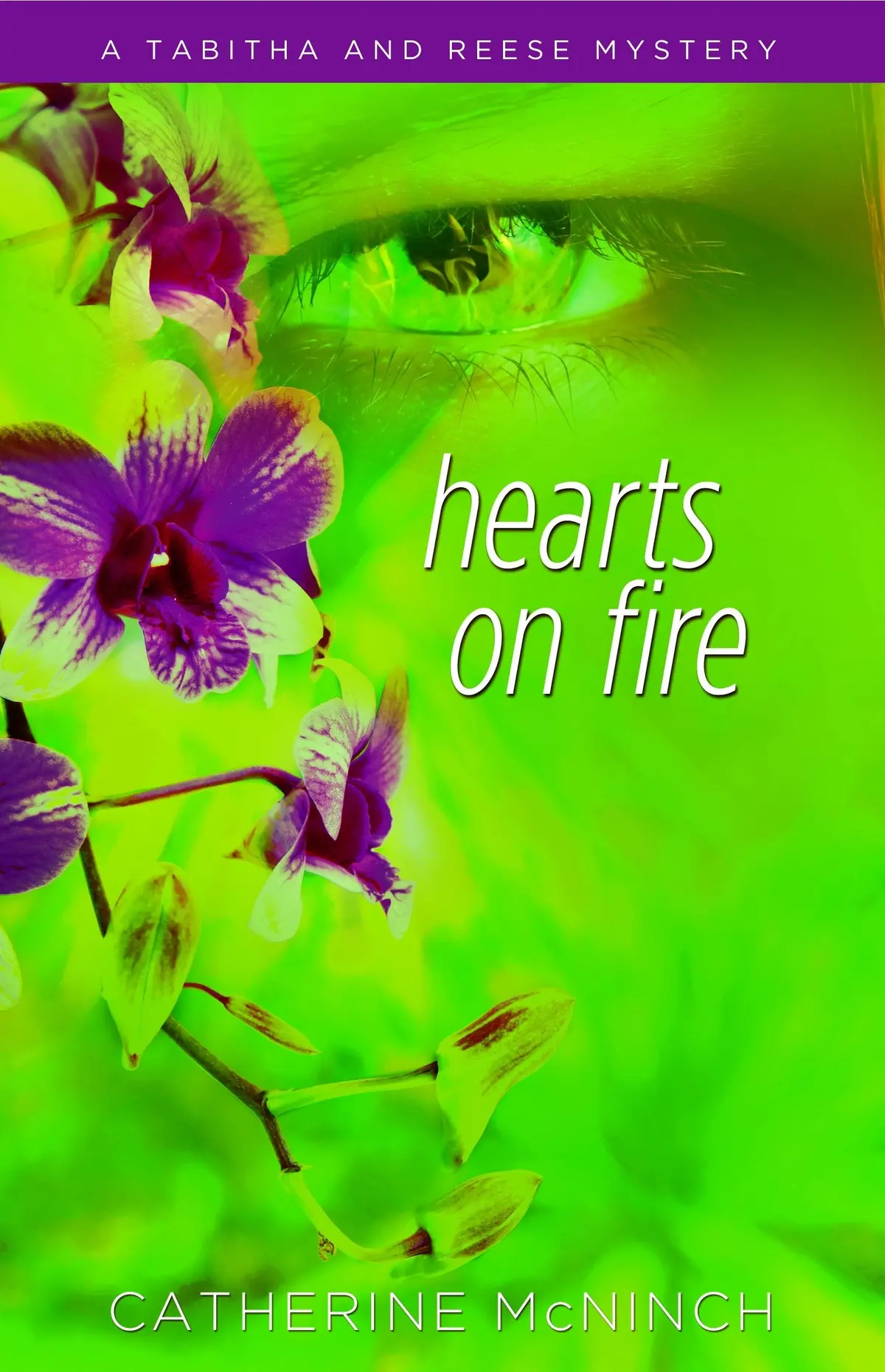 Hearts On Fire: A Tabitha And Reese Mystery [Paperback] Mcninch, Catherine 1
