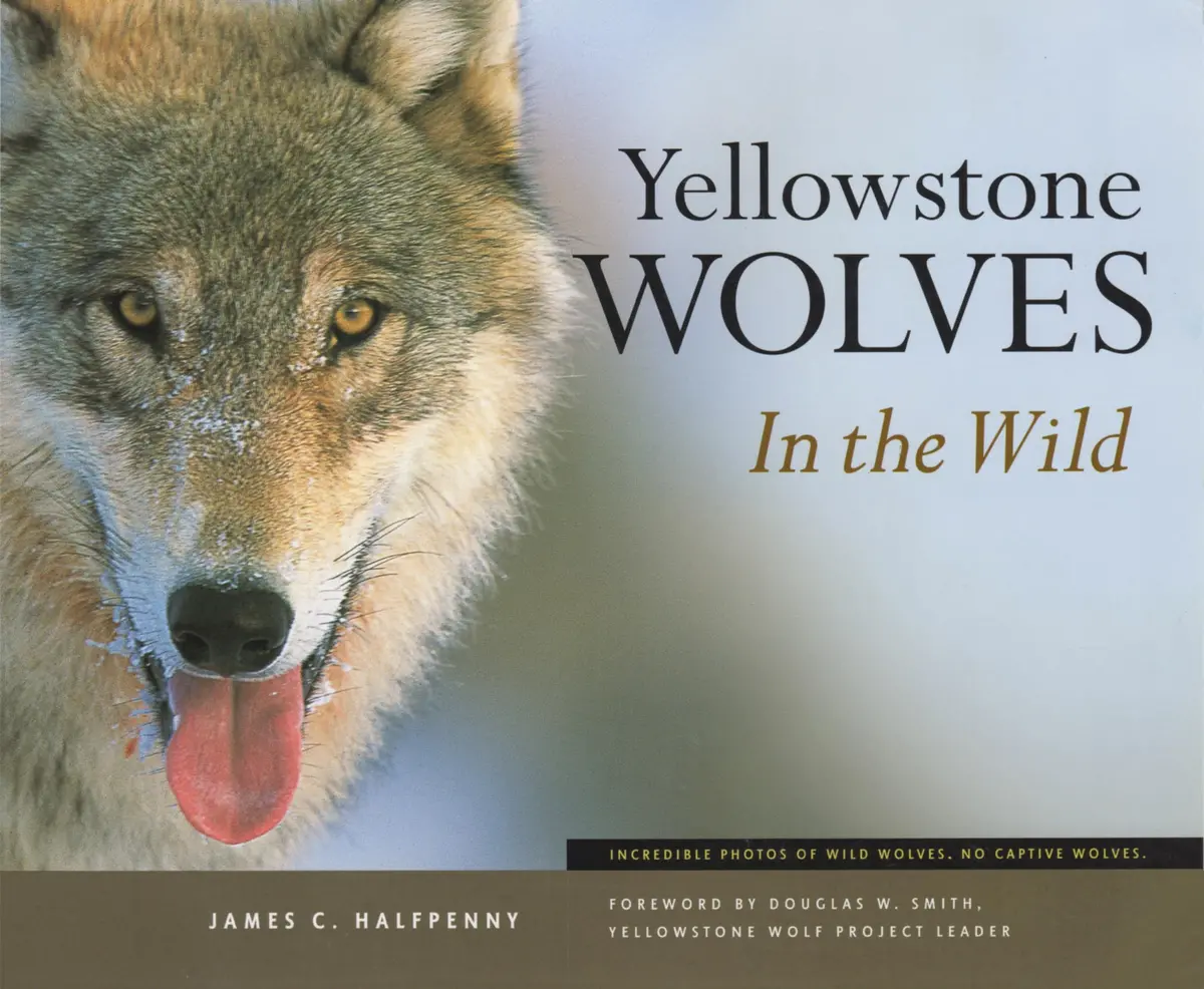 Yellowstone Wolves In The Wild [Paperback] Halfpenny, James C 1