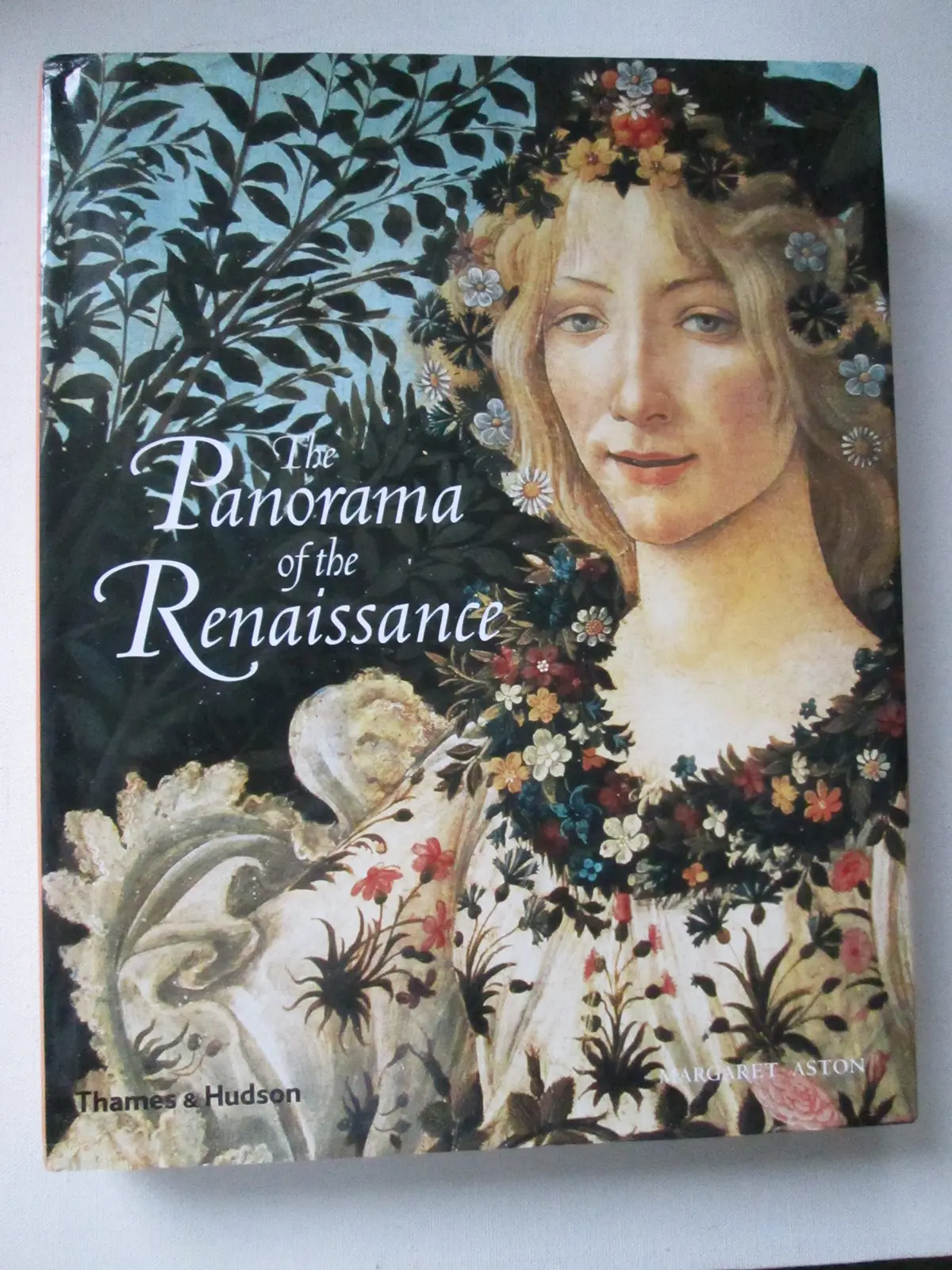 Panorama Of The Renaissance /Anglais Aston Margaret 1