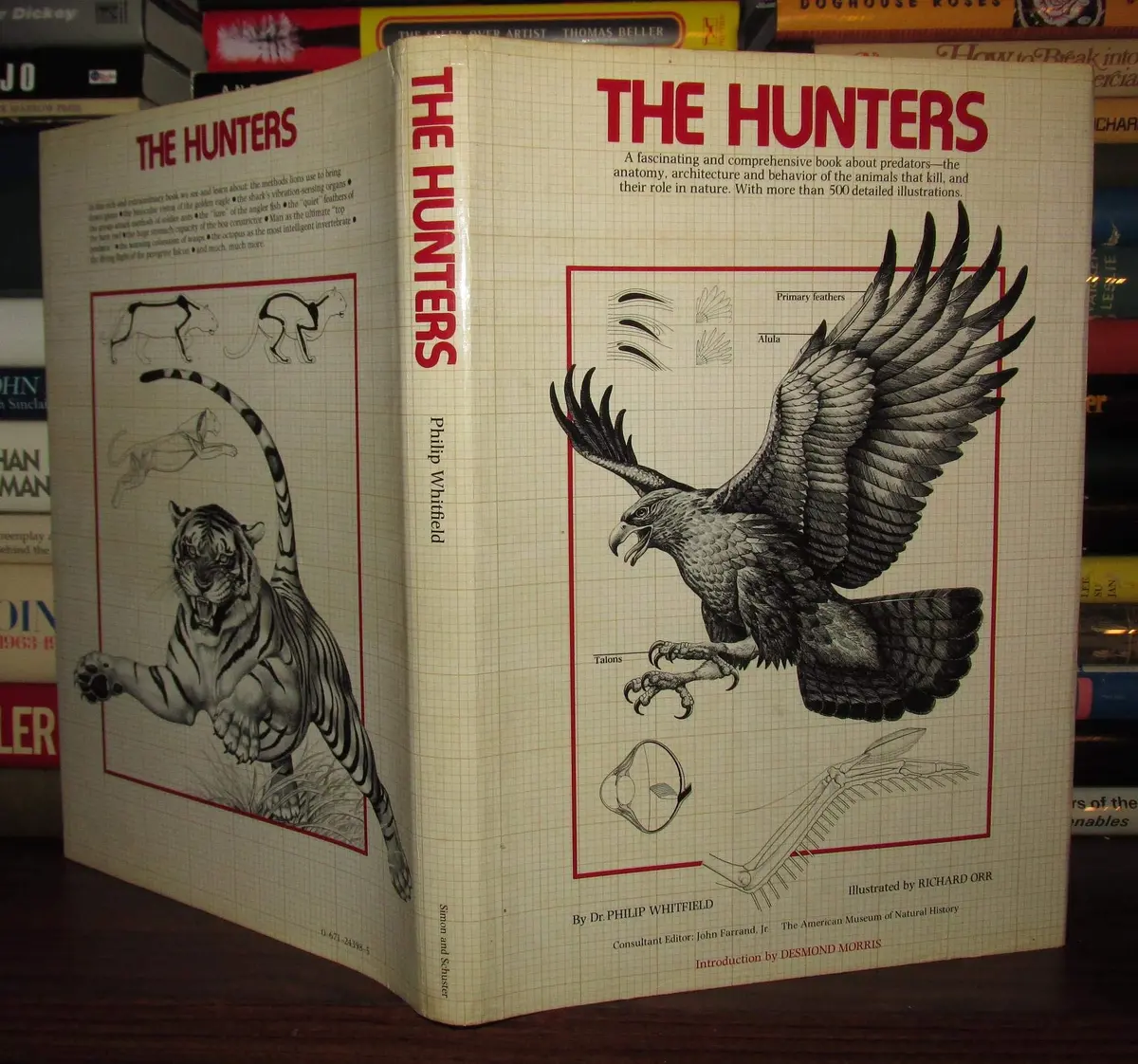 The Hunters Whitfield, Phillip 1