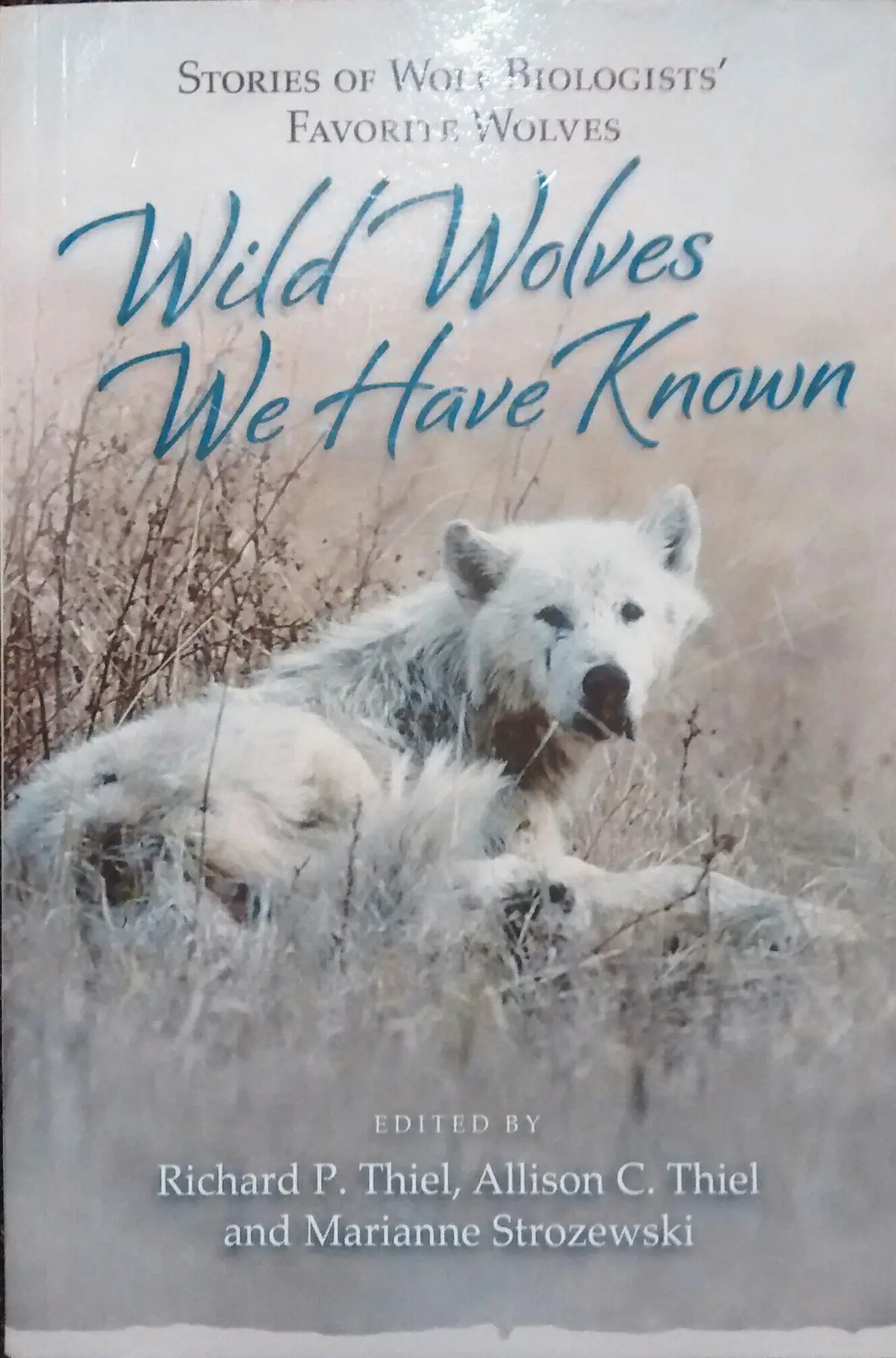 Wild Wolves We Have Known: Stories Of Wolf Biologists' Favorite Wolves [Paperback] Richard P. Thiel, Allison C. Thiel, Marianne Strozewski 1