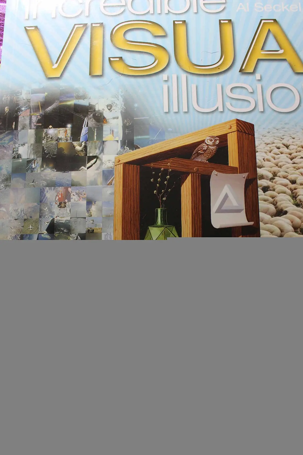 Incredible Visual Illusions: You Won't Believe Your Eyes! Al Seckel 1