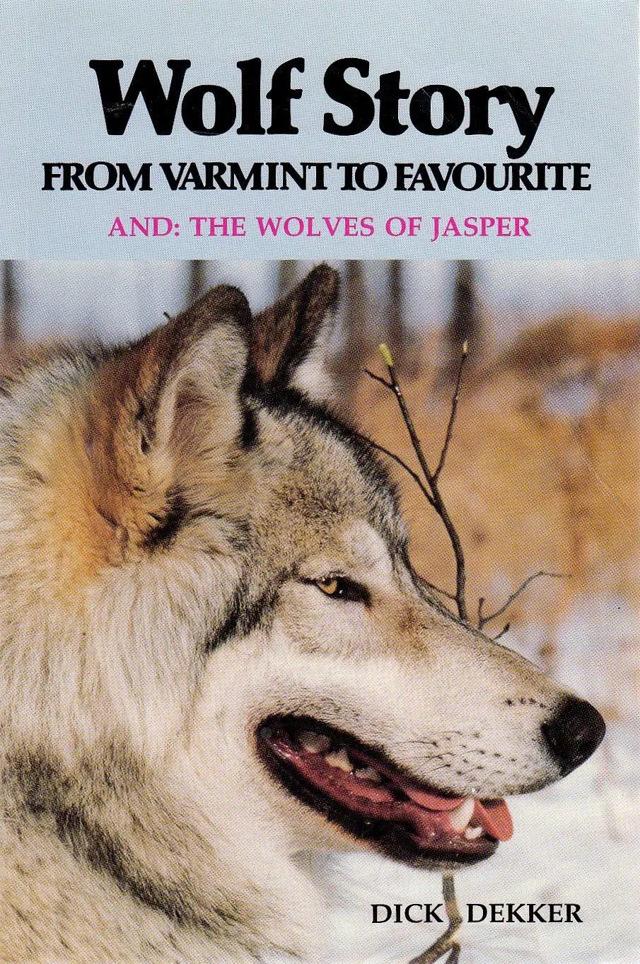 Wolf Story - From Varmint To Favourite [Paperback] Dick Dekker 1