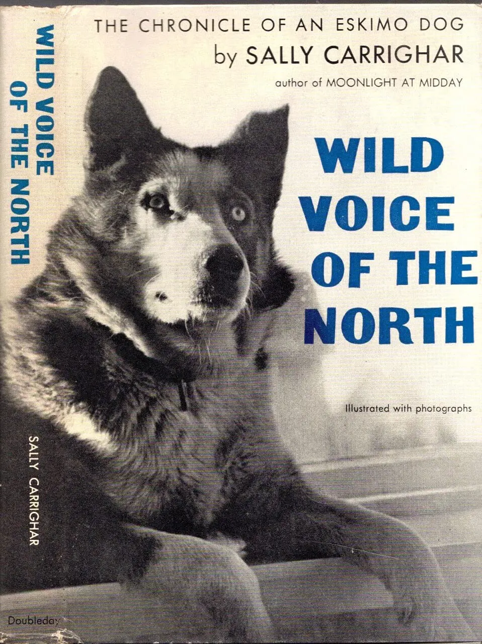 1959 Wild Voice North Bobo Half Wolf Half Dog Husky Nome Alaska Carrighar Gift [Hardcover] Sally Carrighar [Hardcover] Sally Carrighar 1