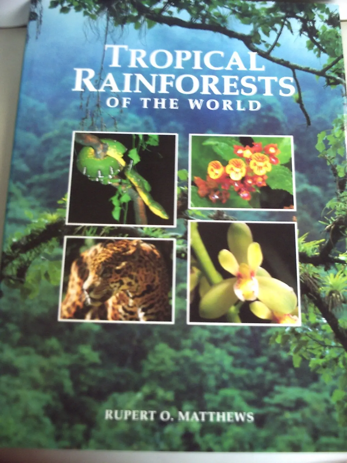 Tropical Rainforests Of The World Rupert Matthews 1