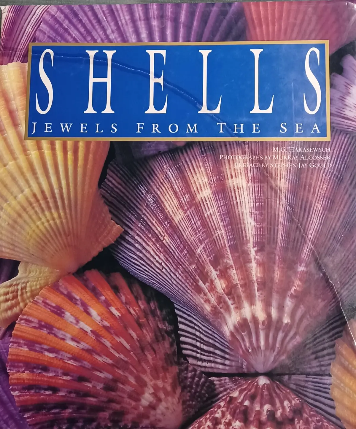 Shells M. G. Hawasewych 1