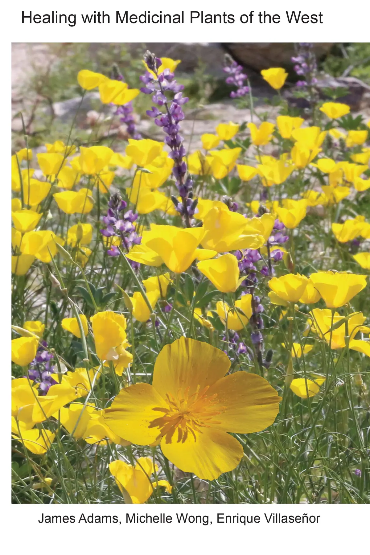 Healing With Medicinal Plants Of The West - Cultural And Scientific Basis For Their Use Fourth Edition [Perfect Paperback] James Adams; Michelle Wong And Enrique Villasenor 1