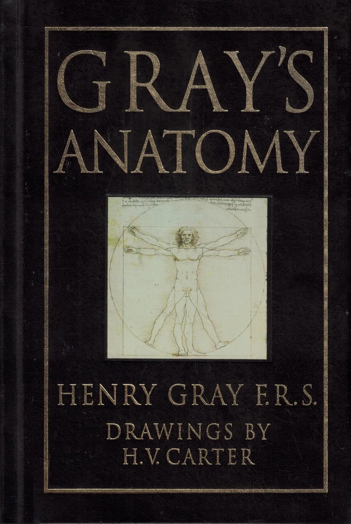 Gray's Anatomy Henry And H.V. Carter Gray 1