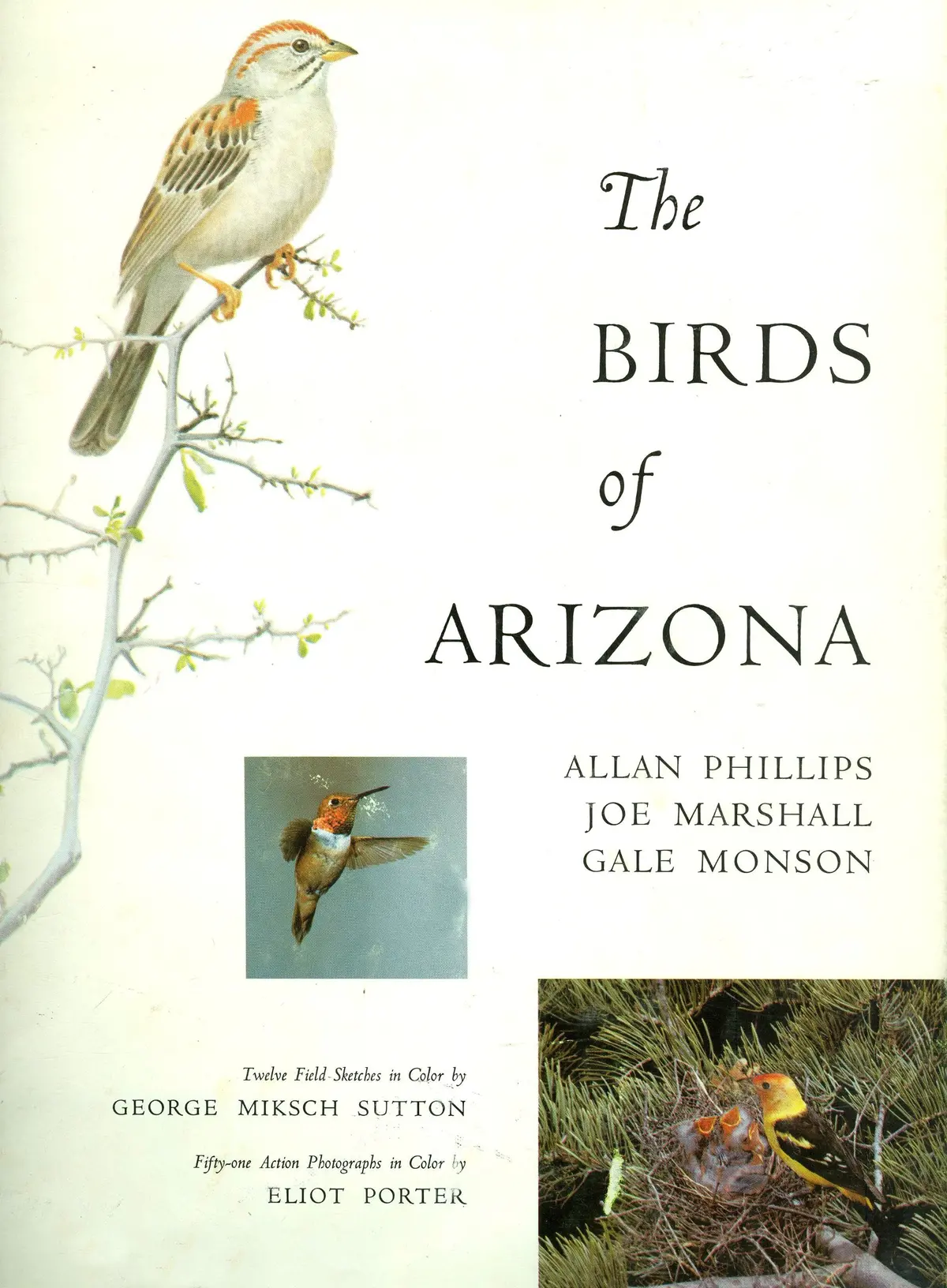The Birds Of Arizona 1