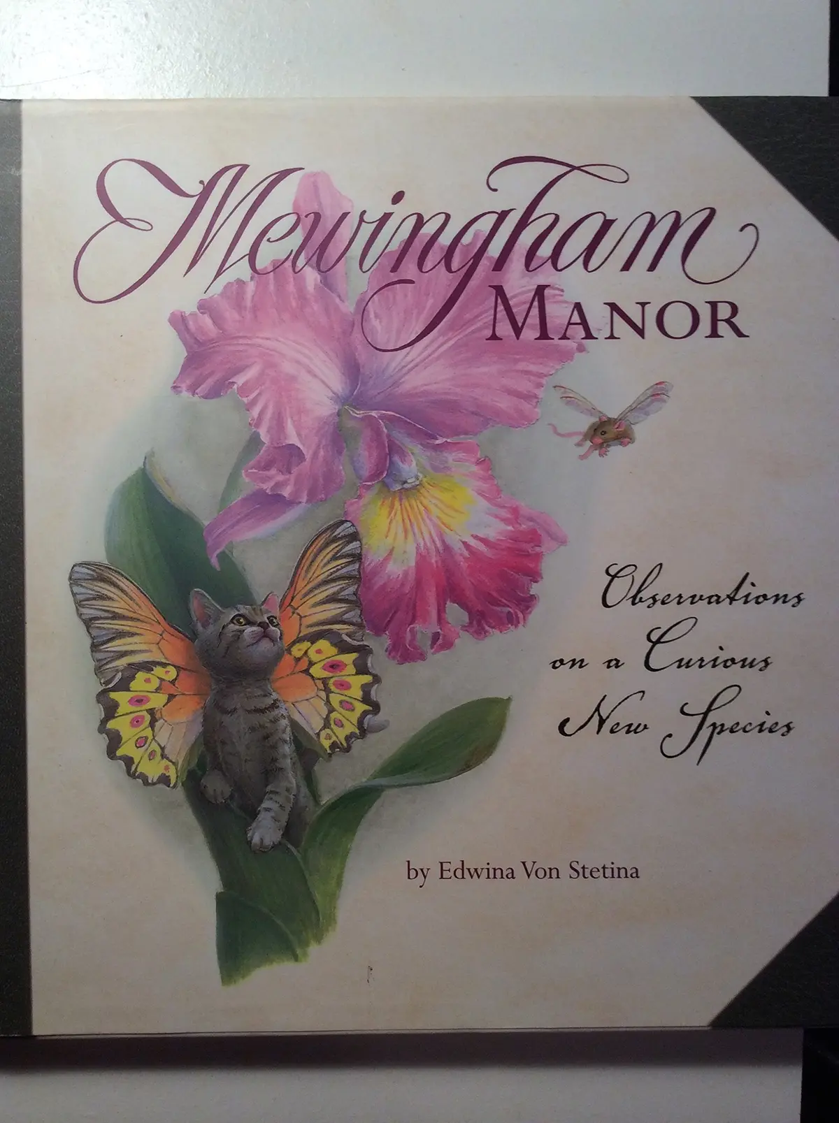 Mewingham Manor: Observations On A Curious New Species Von Stetina, Laura 1