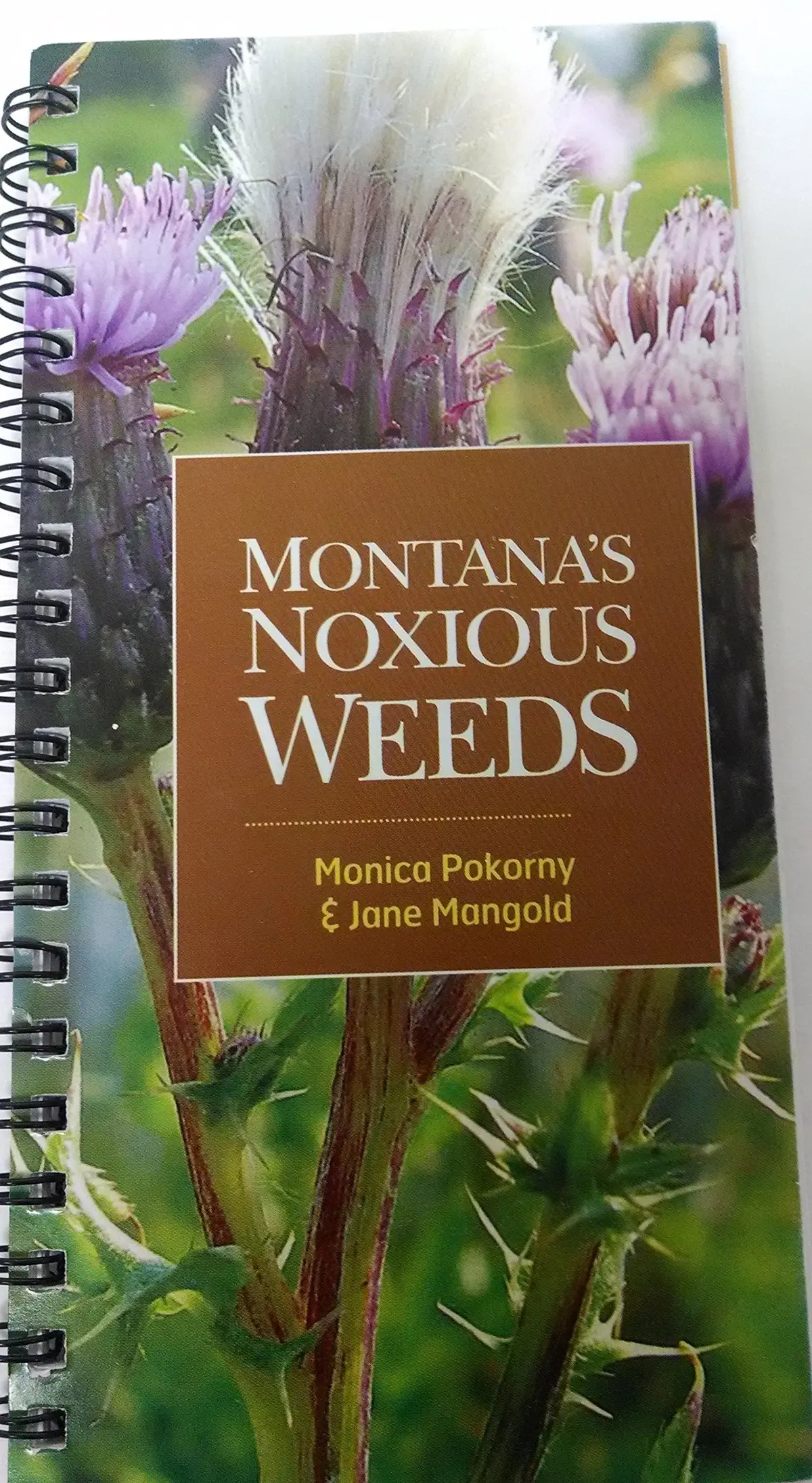 Montana's Noxious Weeds (Eb) Pokorny, Monica 1