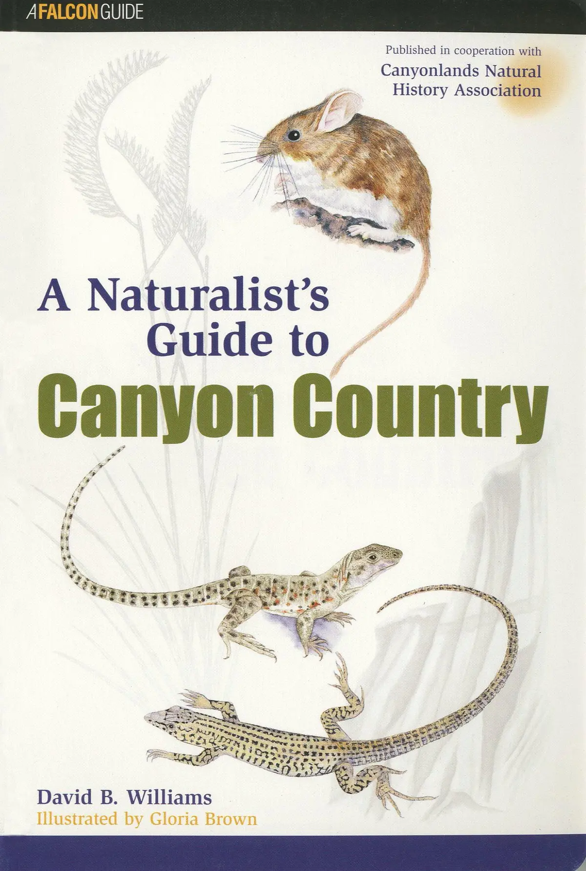 A Naturalist's Guide To Canyon Country 1