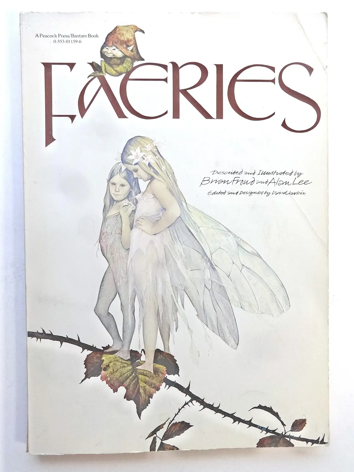 Faeries Larkin, David 1