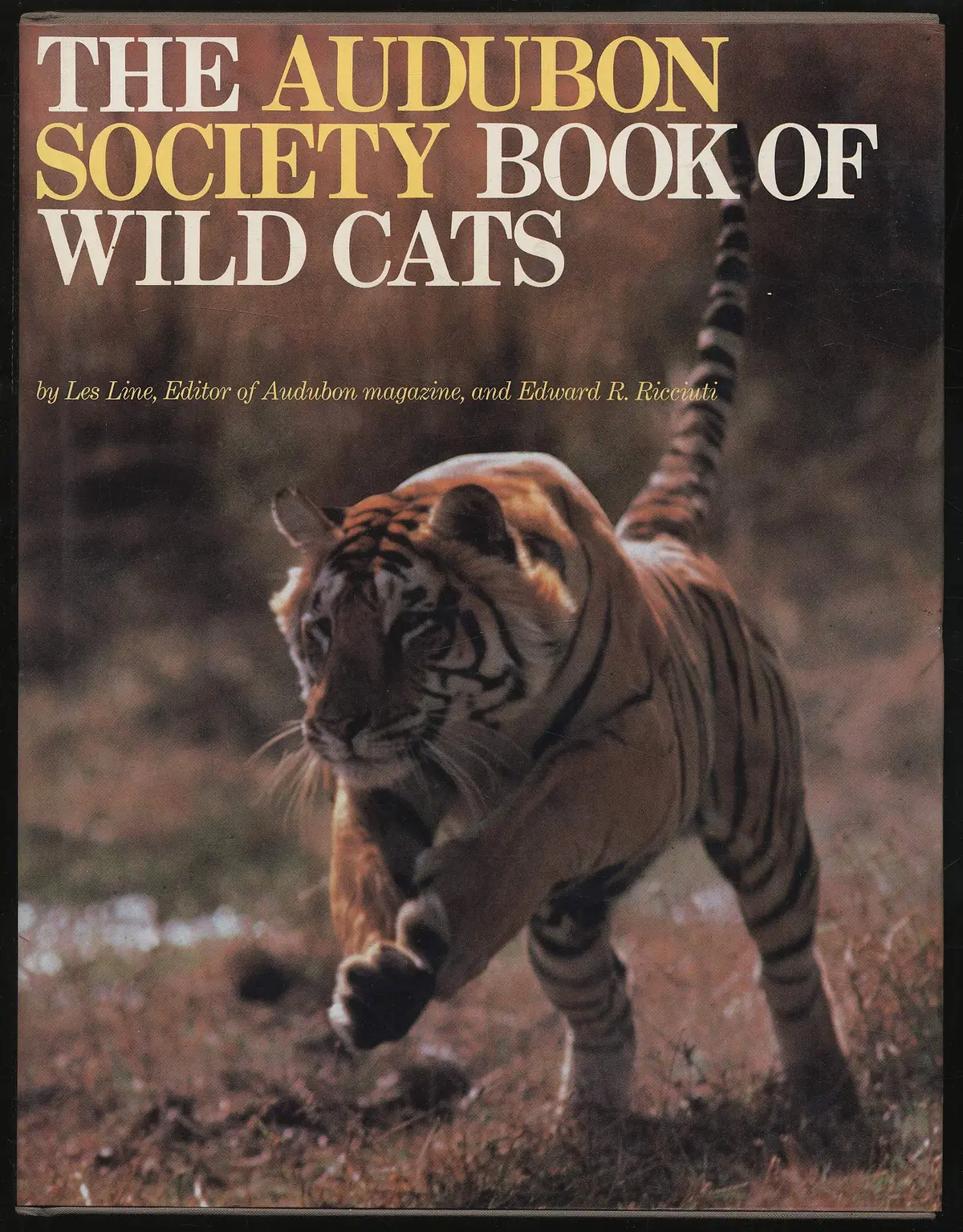 The Audubon Society Book Of Wild Cats [Hardcover] Line, Les And Edward R. Ricciuti 1