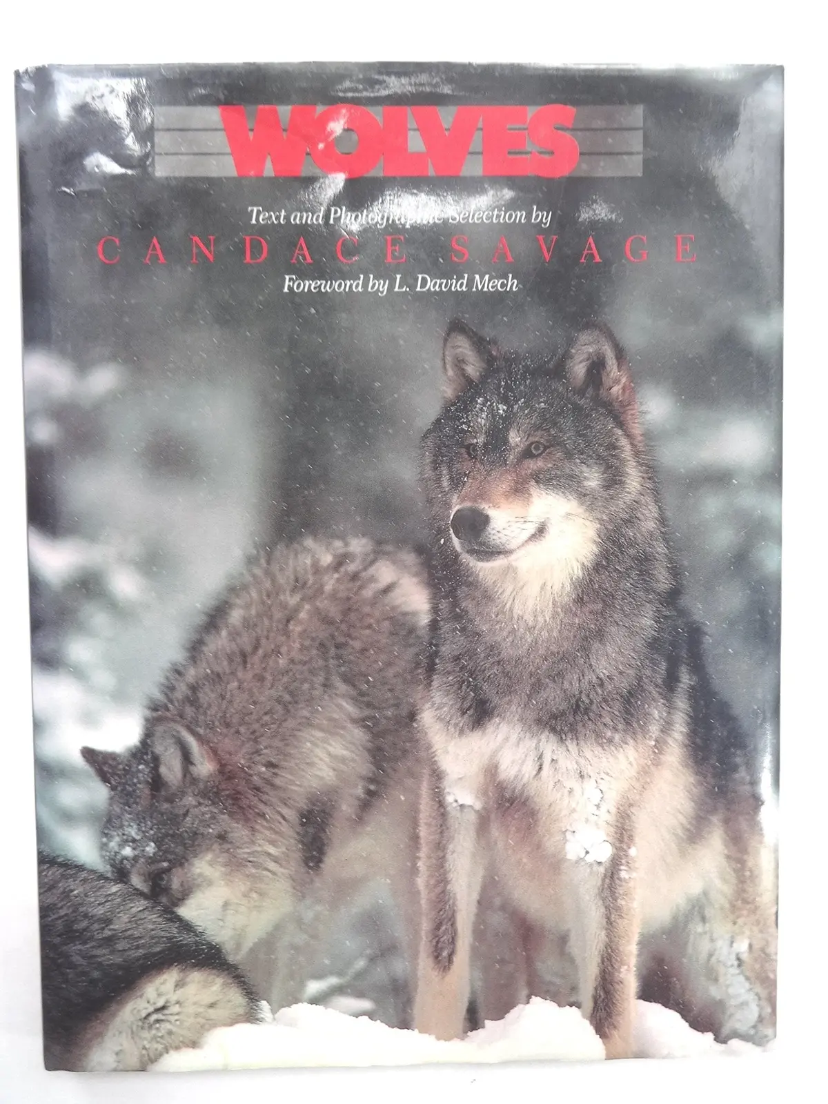 Wolves [Hardcover] Candace Savage 1