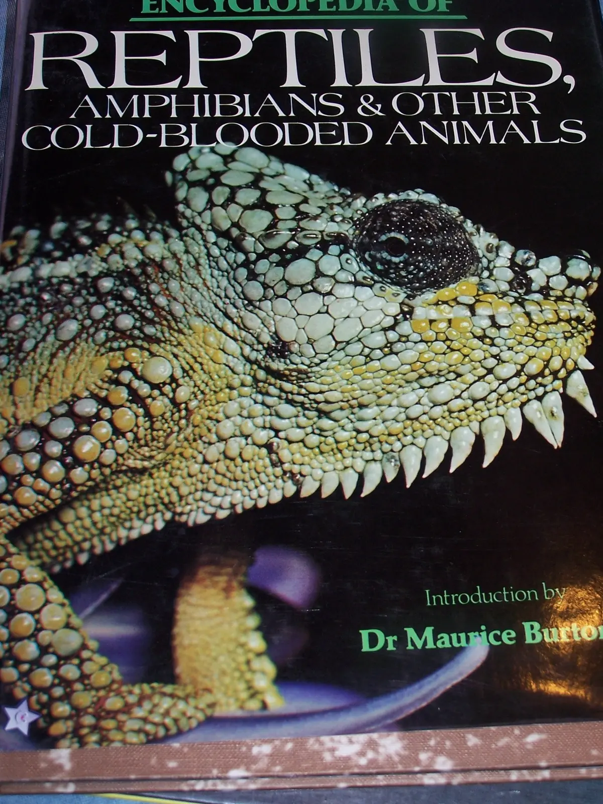 Encyclopedia Of Reptiles, Amphibians And Other Cold-Blooded Animals Burton, Maurice And Burton, Robert 1
