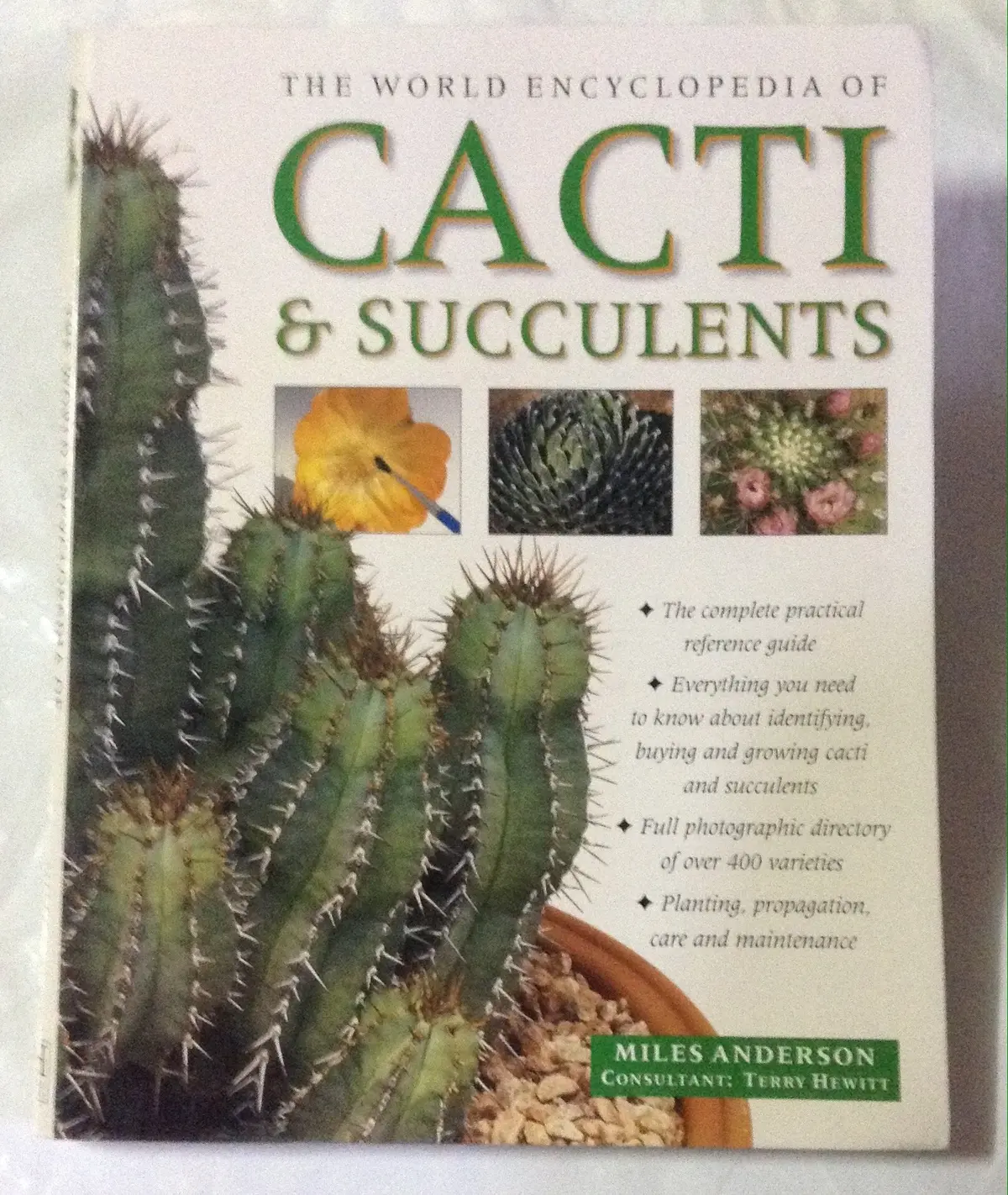 The World Encyclopedia Of Cacti And Succulents [Paperback] Terry Hewitt Miles Anderson 1
