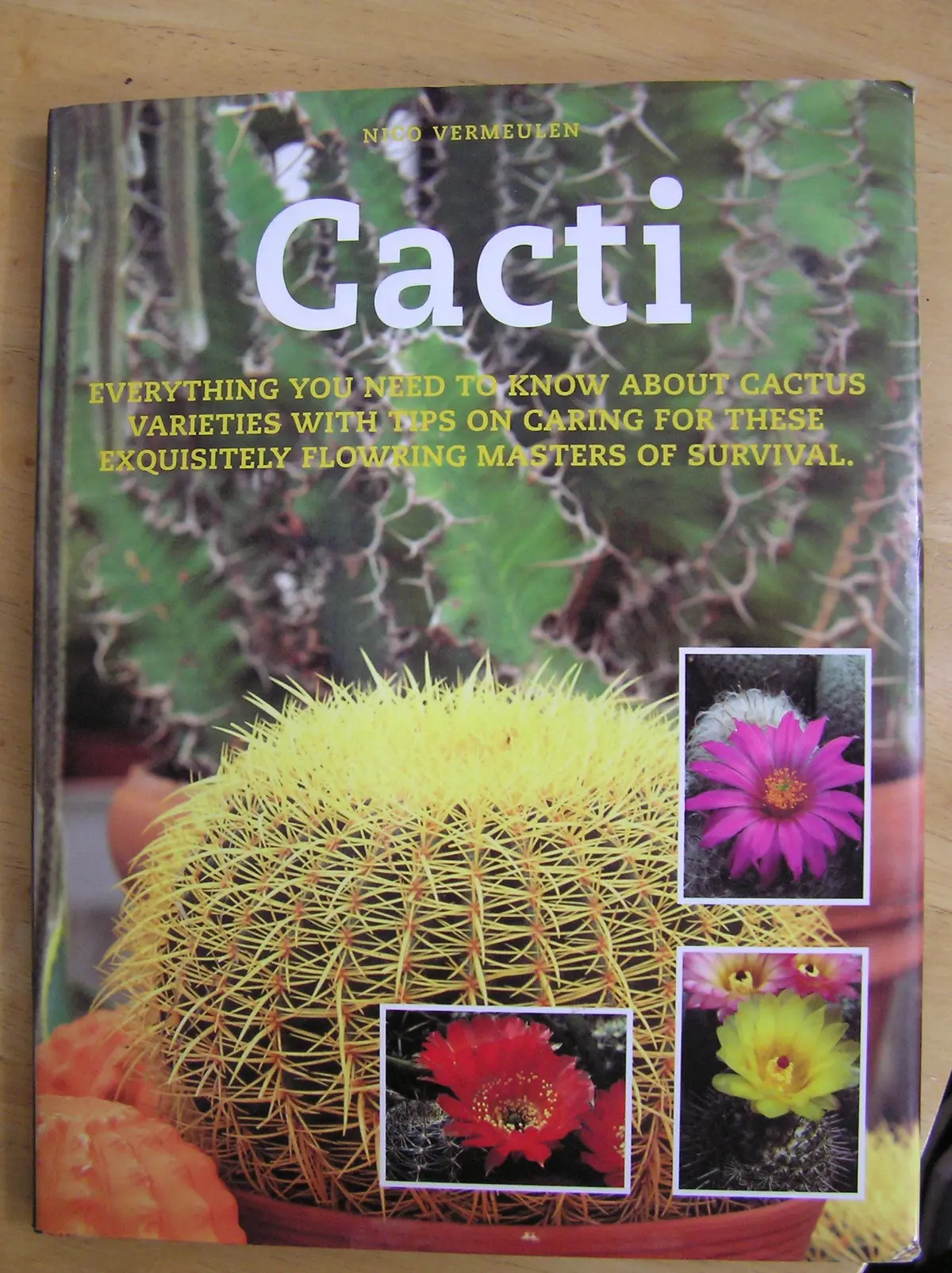 Cacti Vermeulen, Nico 1
