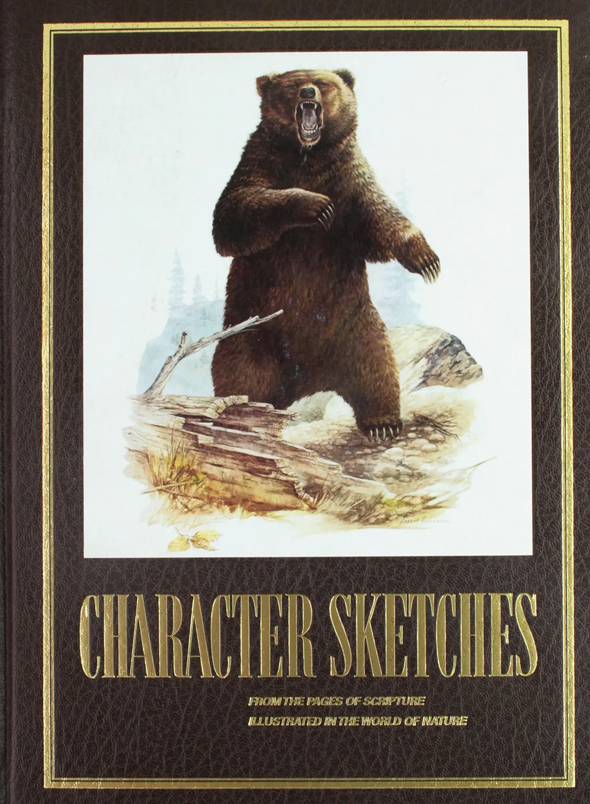 Character Sketches From The Pages Of Scripture, Illustrated In The World Of Nature, Vol. 1 [Hardcover] Institute In Basic Life Principles 1