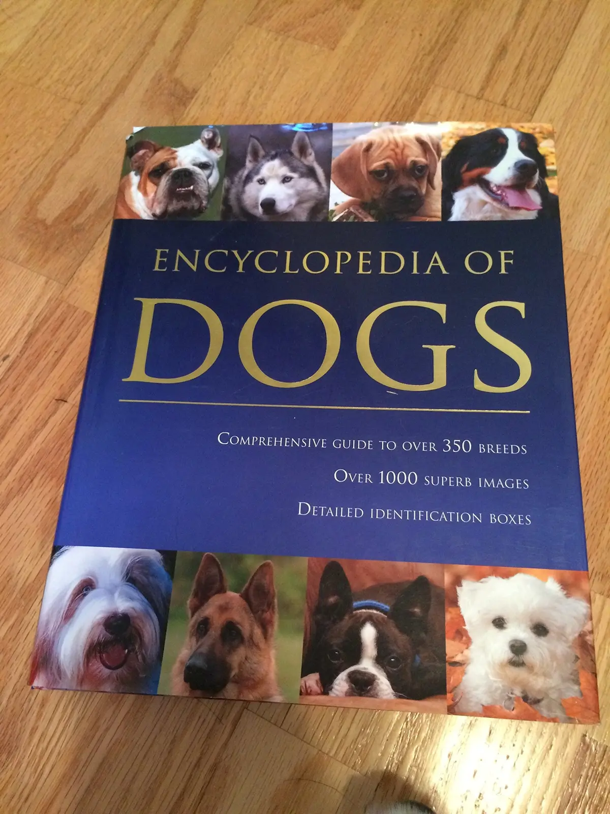 Encyclopedia Of Dogs (Encyclopedia Of…) Alderton, David 1
