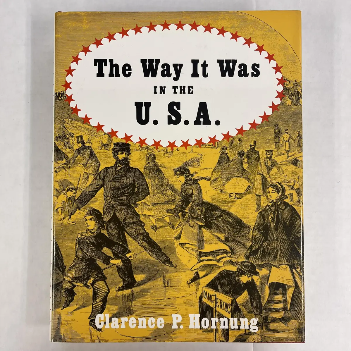 The Way It Was In The U.S.A.: A Pictorial Panorama Of America, 1850-1890 Horning, Clarence P. 1
