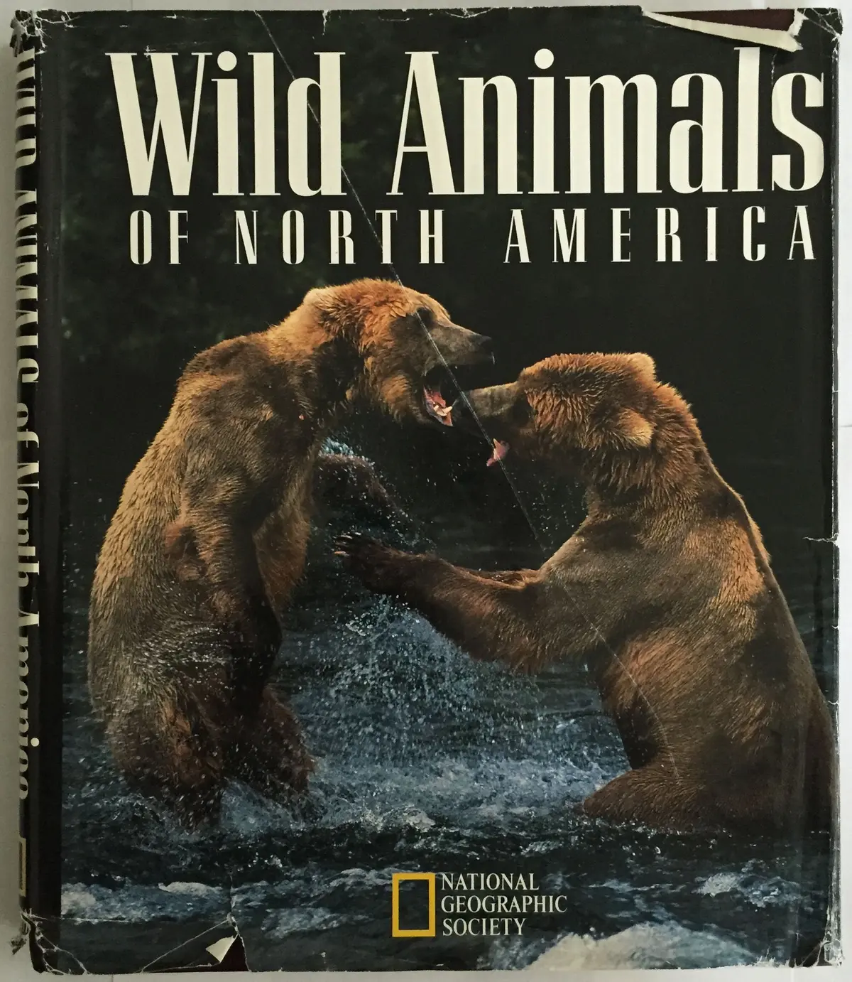 Wild Animals Of North America Allen, Thomas B. 1