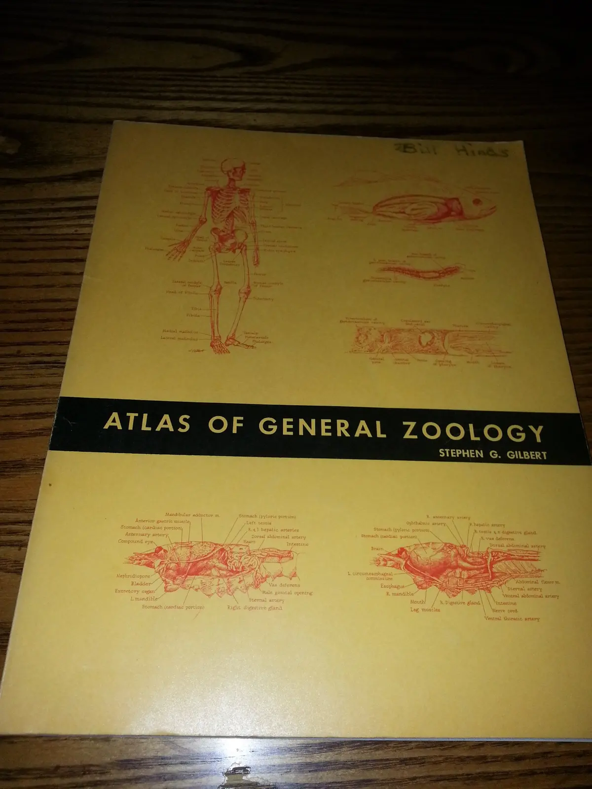 Atlas Of General Zoology; Gilbert, Stephen G 1
