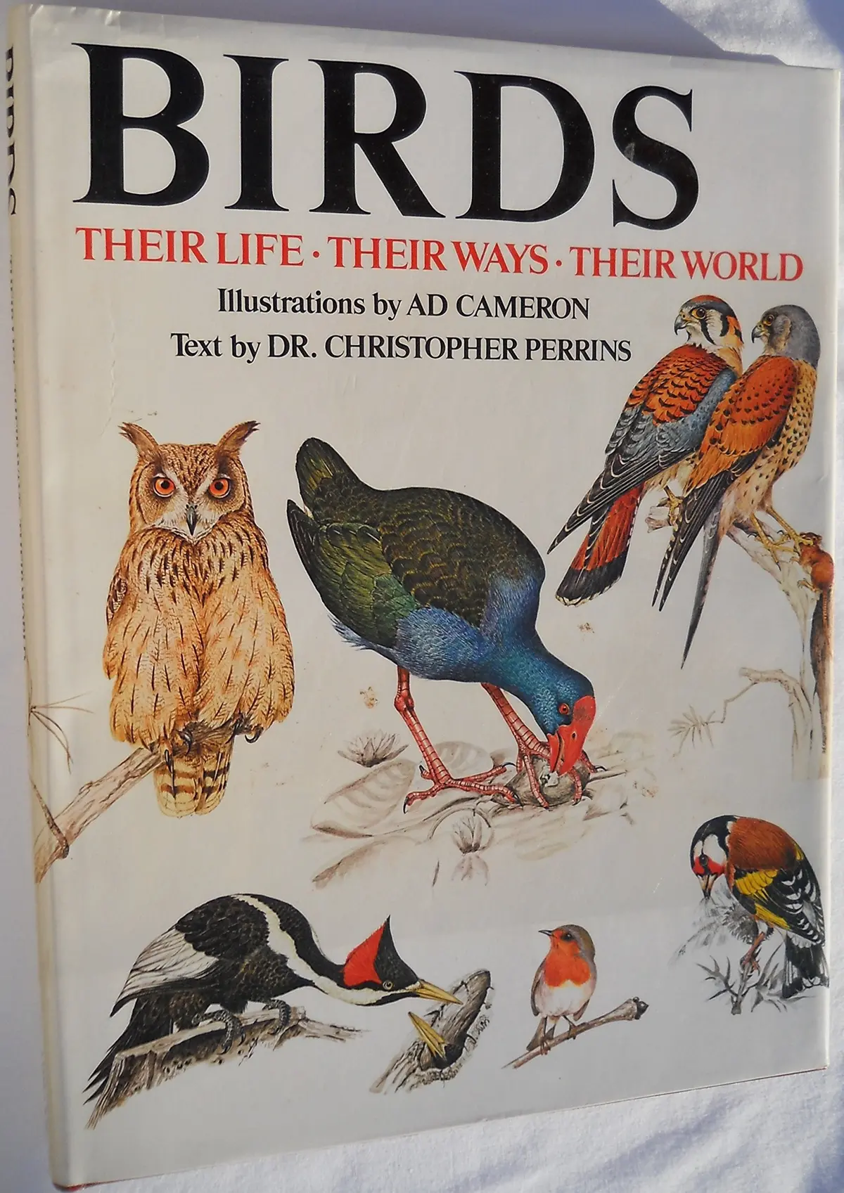 Birds: Their Life, Their Ways, Their World. [Hardcover] Christopher Perrins And Ad Cameron 1