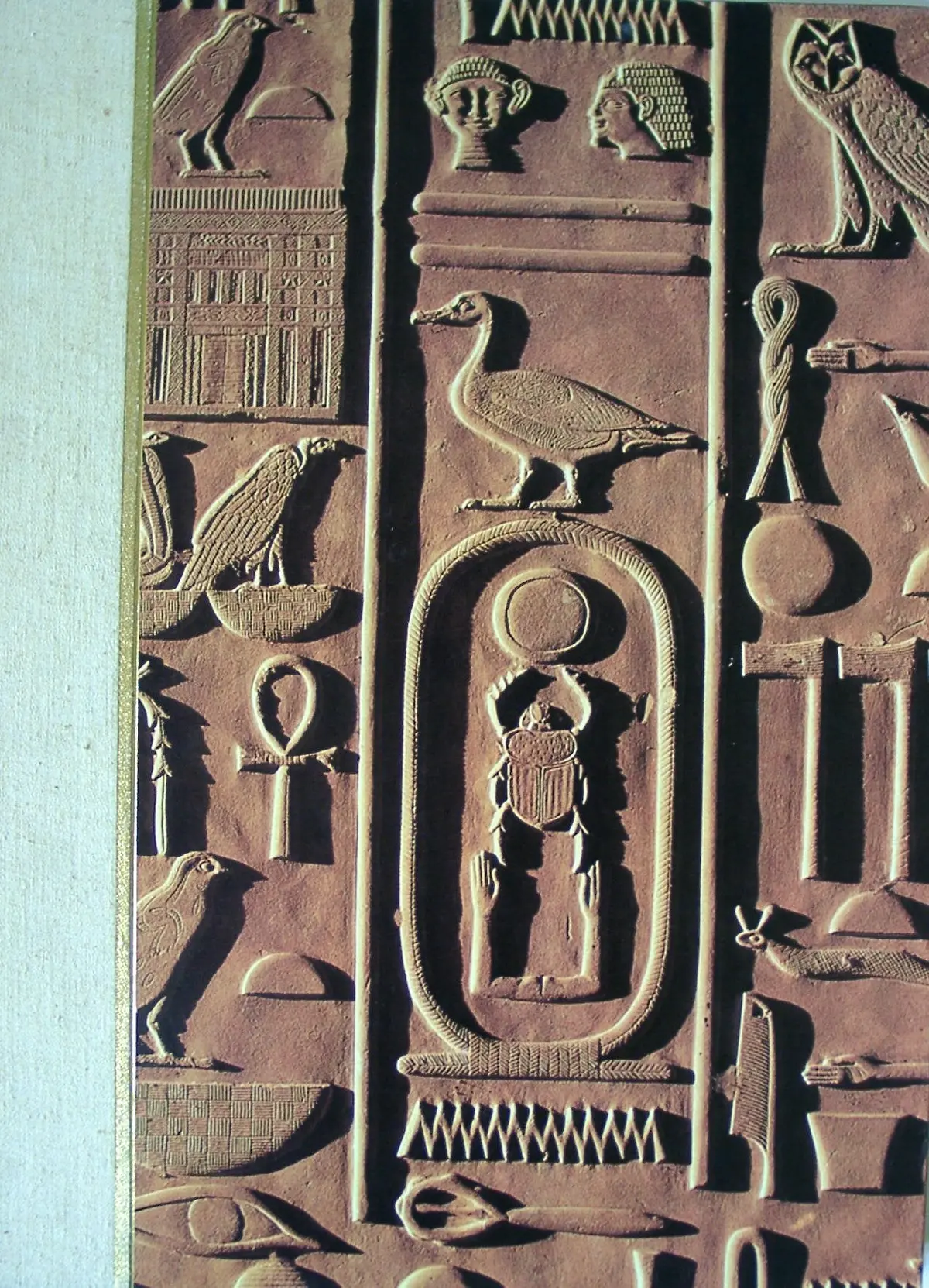 Ancient Egypt: Discovering Its Splendors [Hardcover] National Geographic Society 1