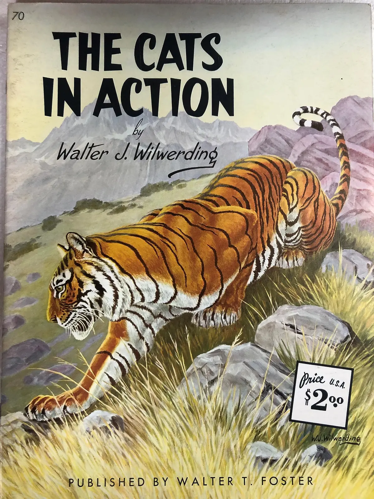 The Cats In Action [Paperback] Wilwerding, Walter 1