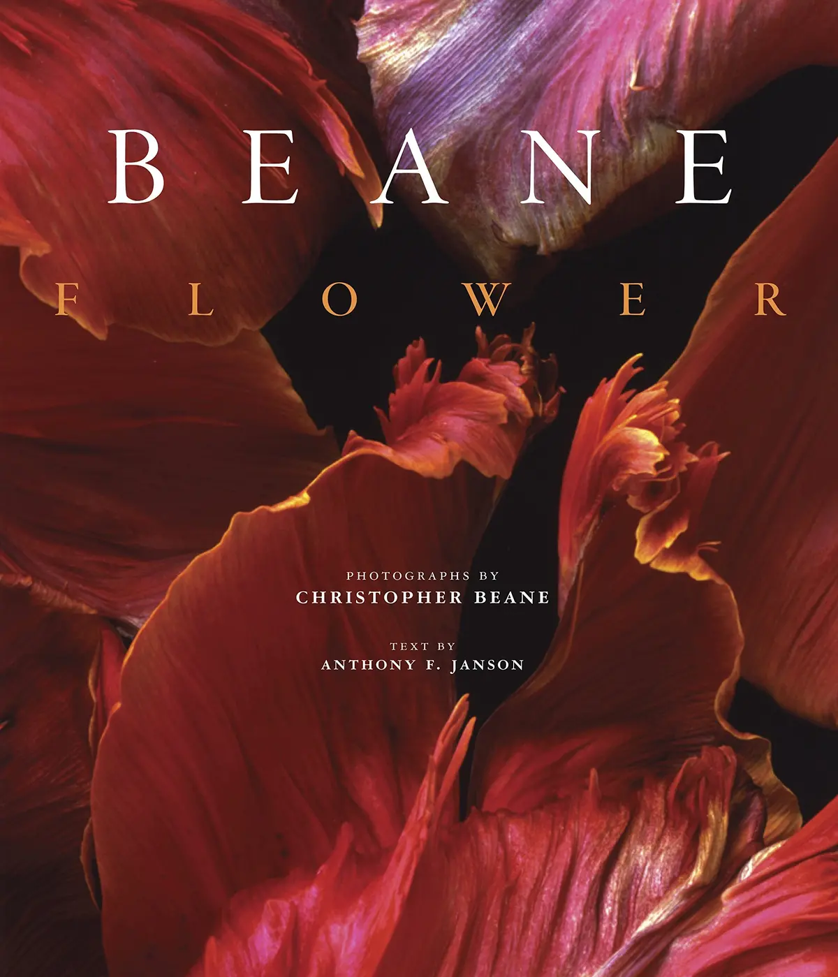 Flower Beane, Christopher And Janson, Anthony F. 1