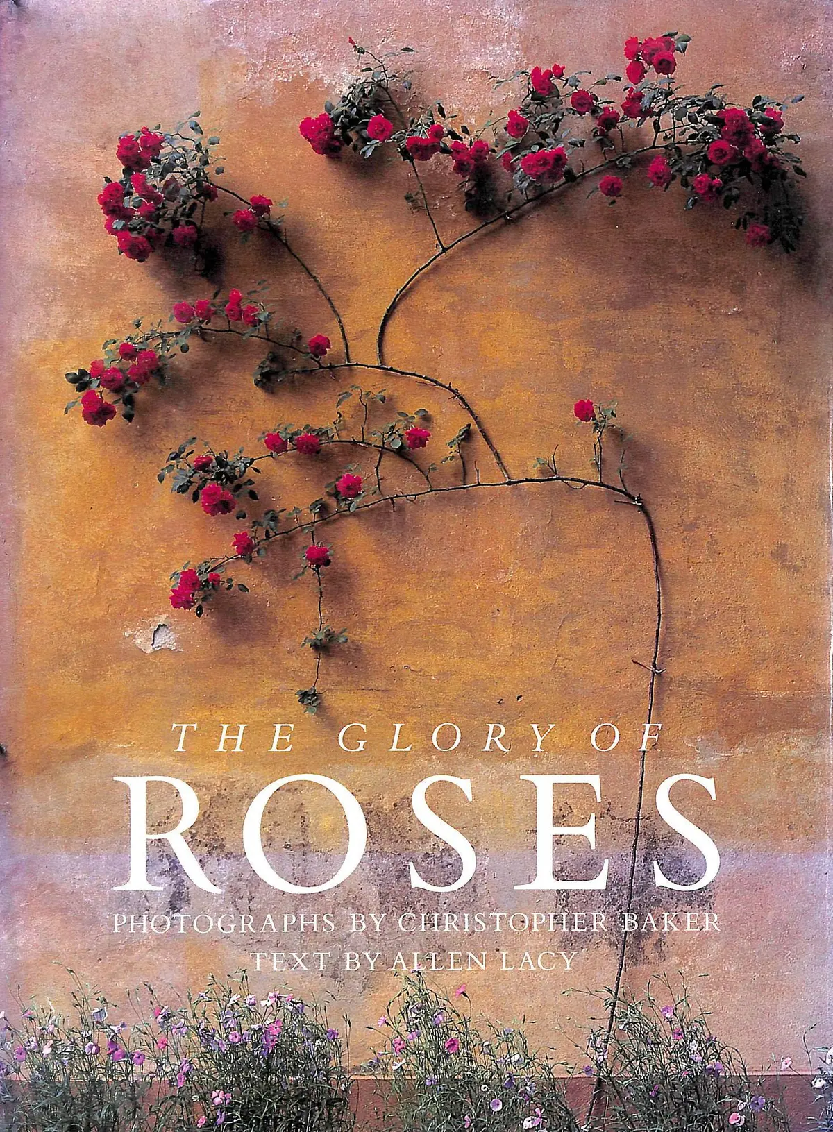 The Glory Of Roses Lacy, Allen And Baker, Christopher 1