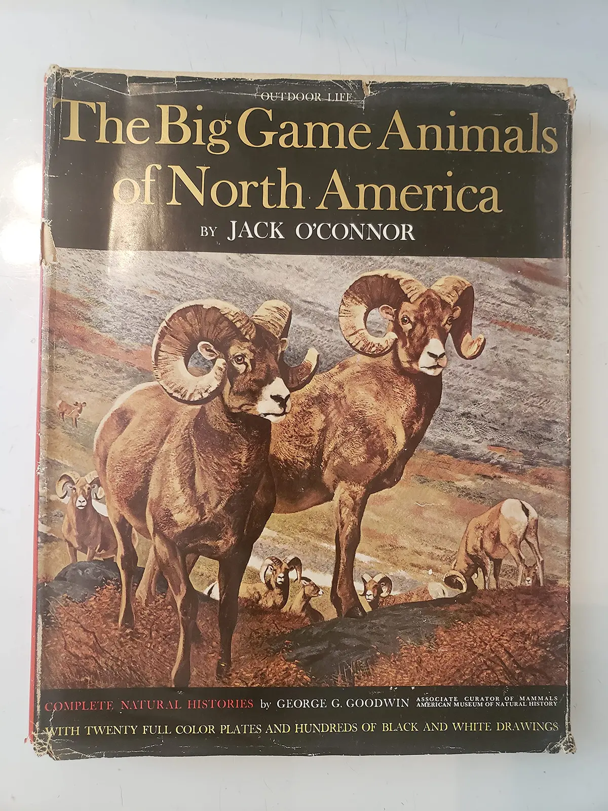 The Big Game Animals Of North America [Hardcover] Jack O'connor 1