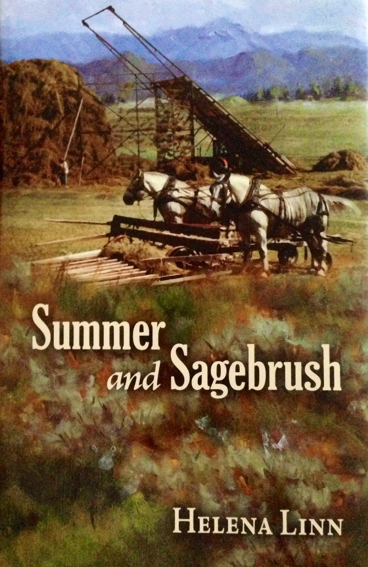 Summer And Sagebrush [Hardcover] Helena Linn 1