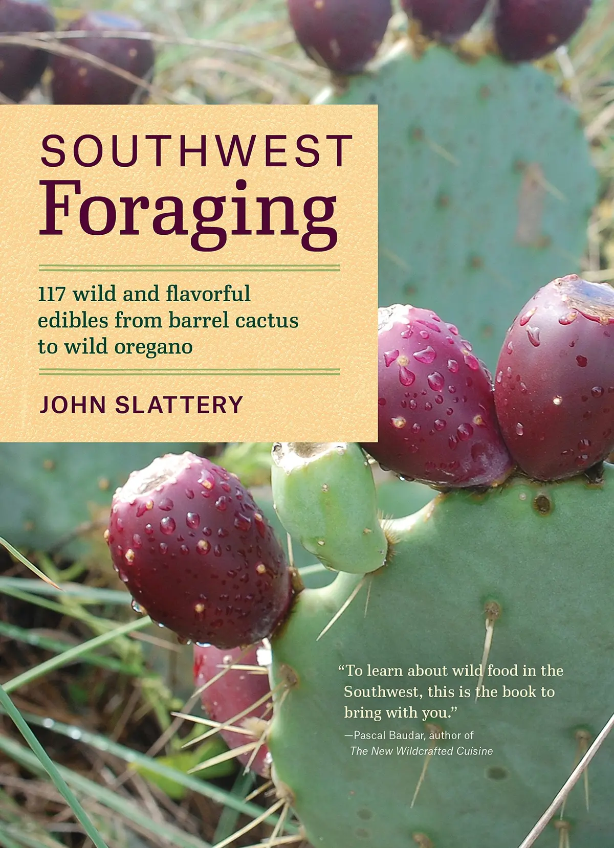 Southwest Foraging: 117 Wild And Flavorful Edibles From Barrel Cactus To Wild Oregano (Regional Foraging Series) [Paperback] Slattery, John 1